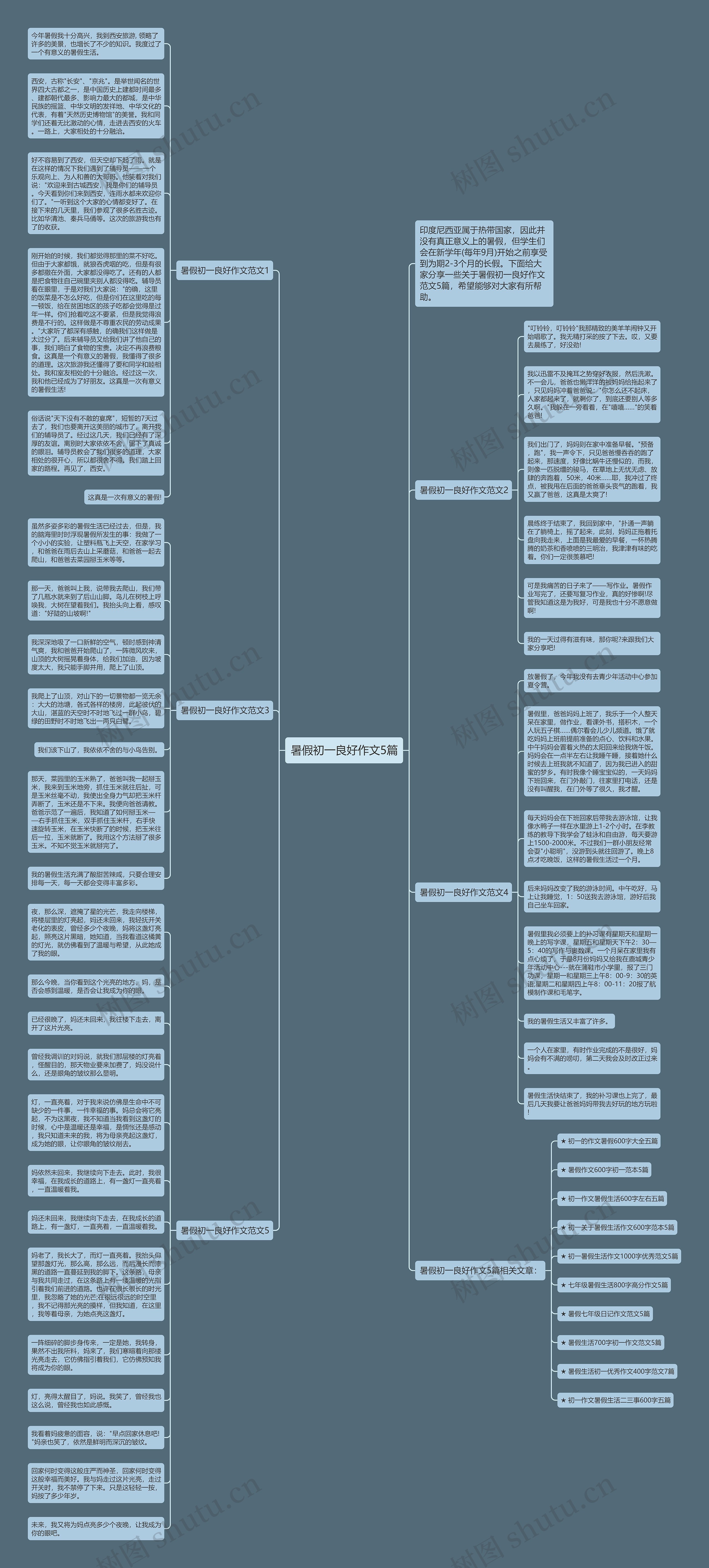 暑假初一良好作文5篇思维导图
