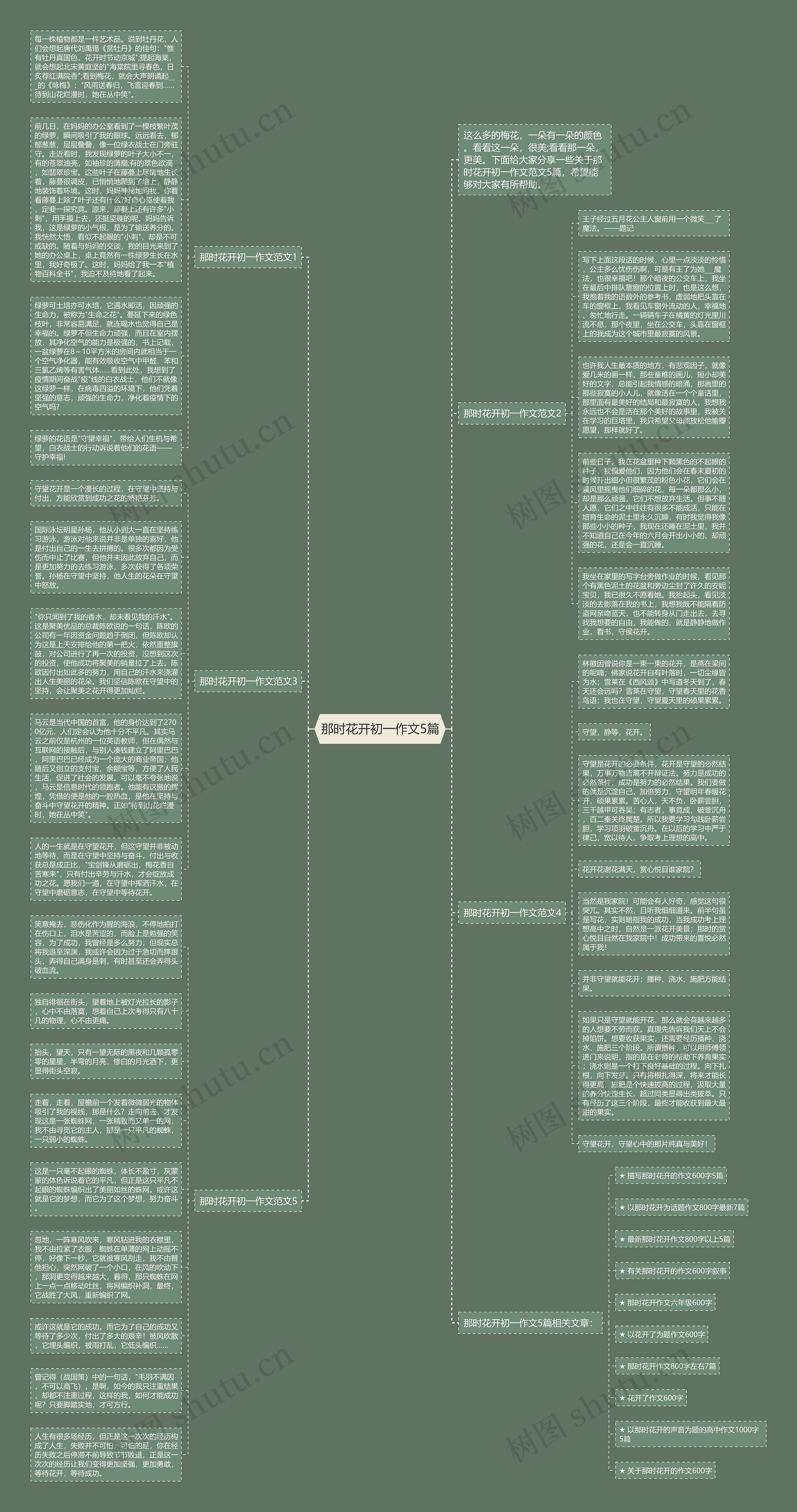 那时花开初一作文5篇思维导图