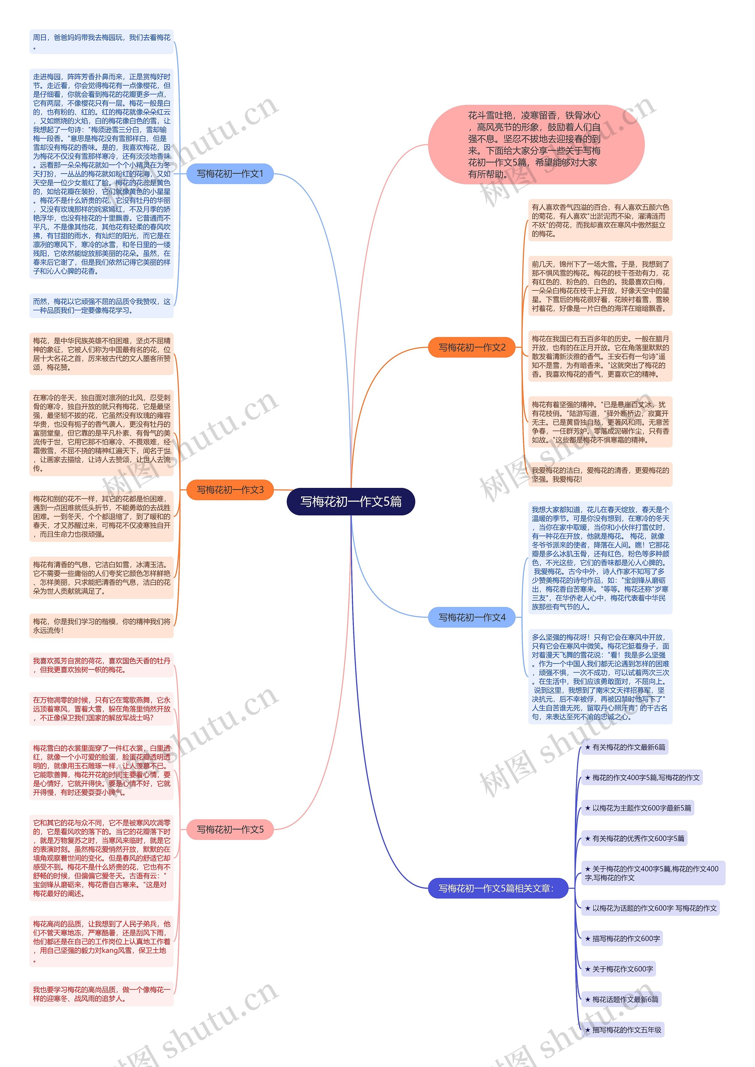 写梅花初一作文5篇思维导图