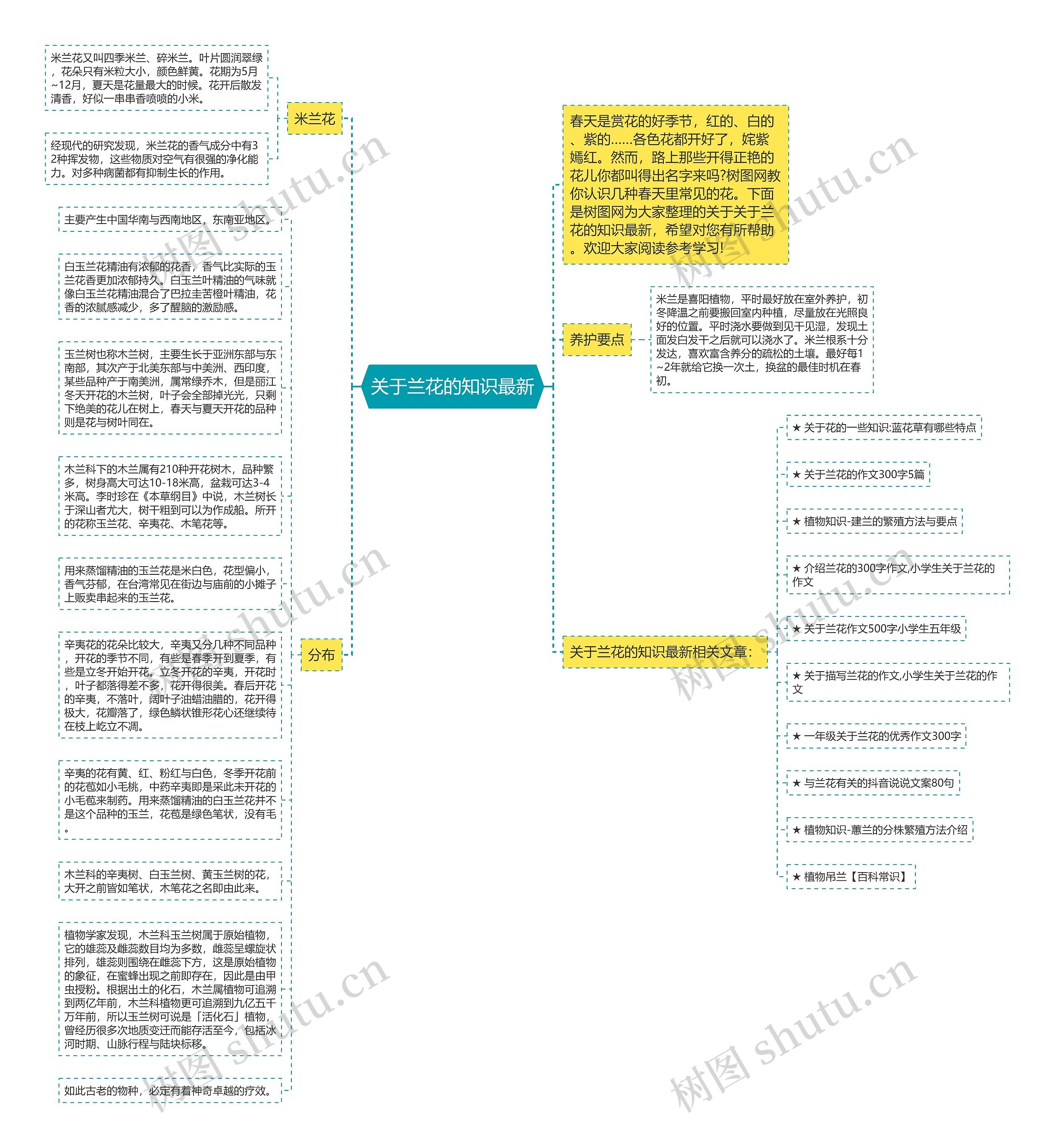 关于兰花的知识最新思维导图