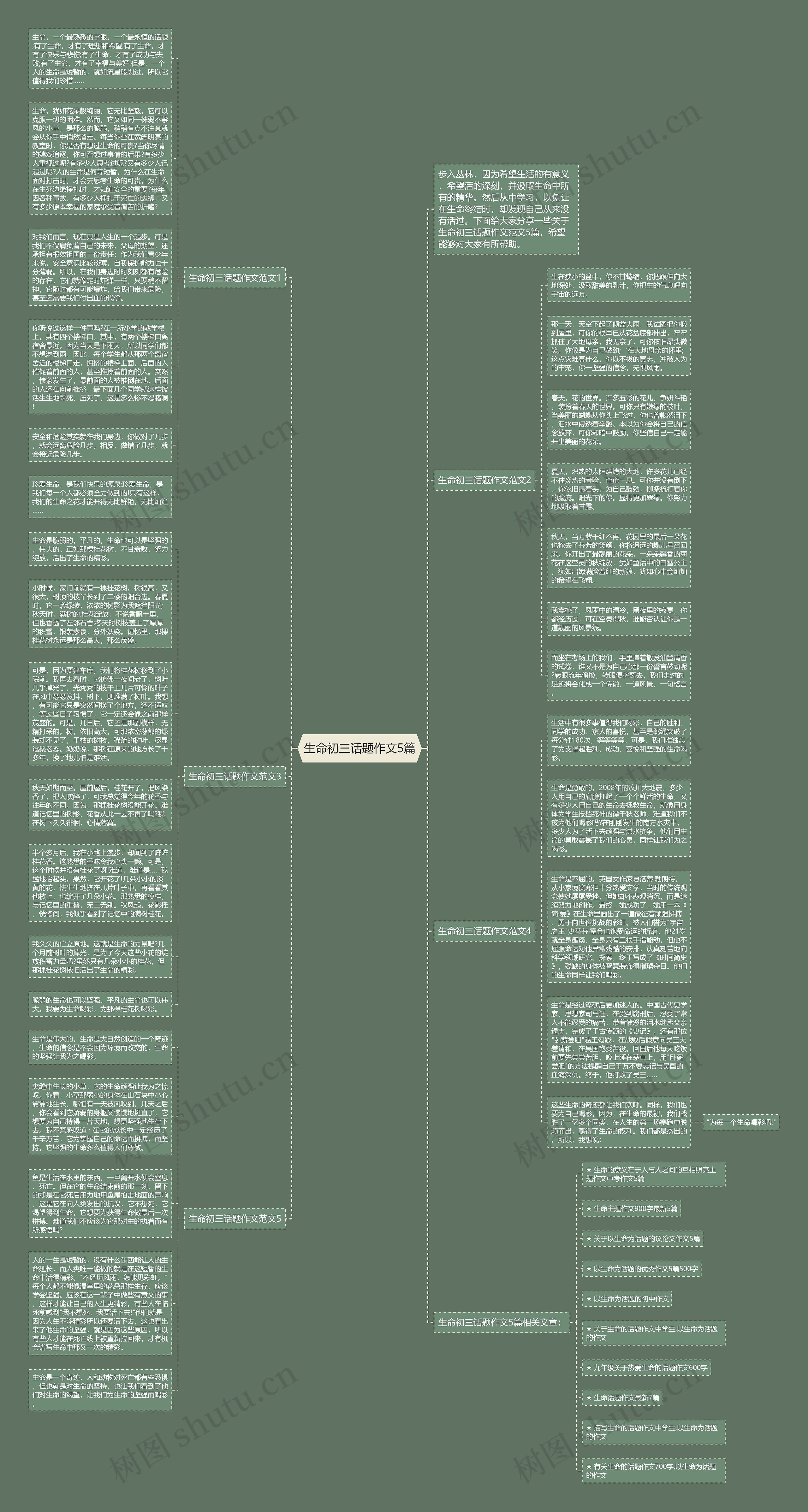 生命初三话题作文5篇思维导图