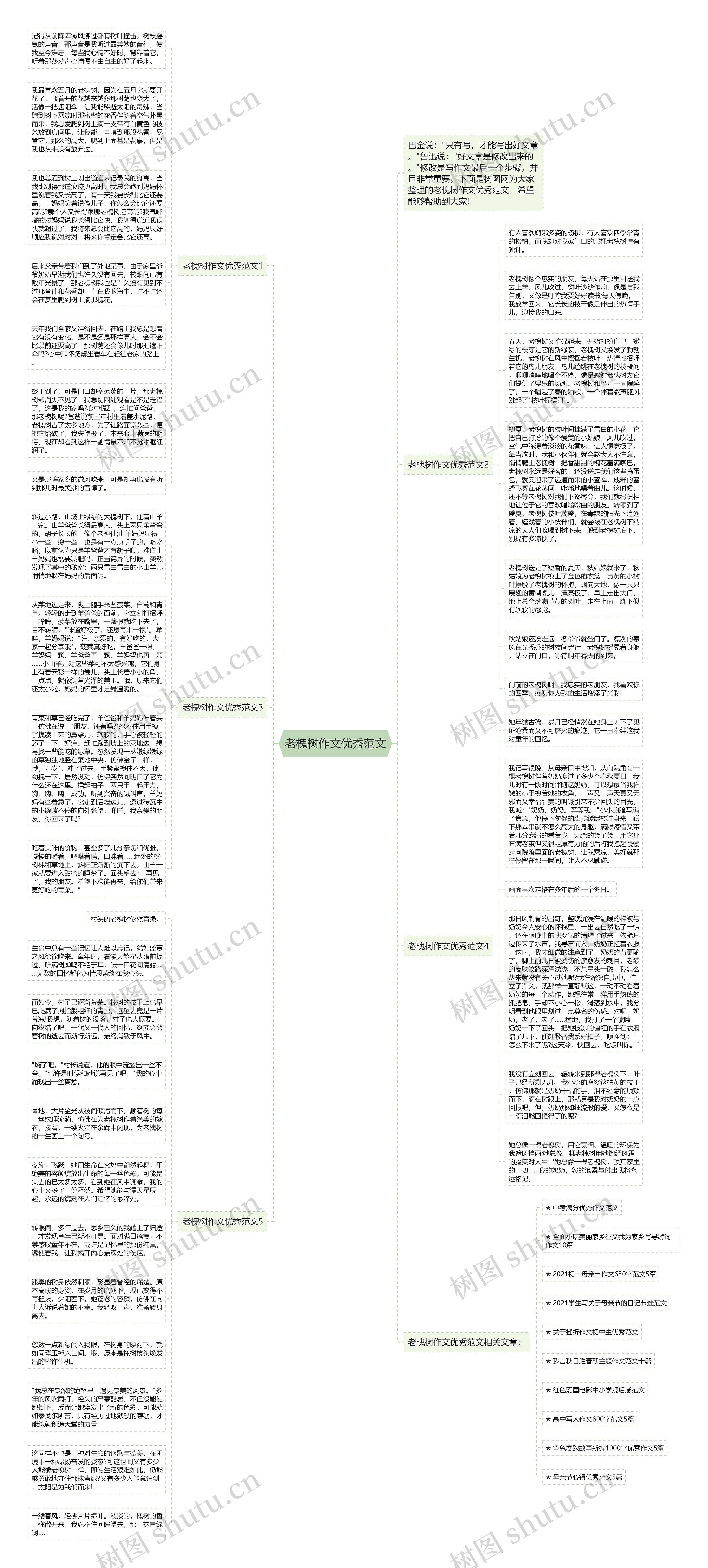 老槐树作文优秀范文思维导图
