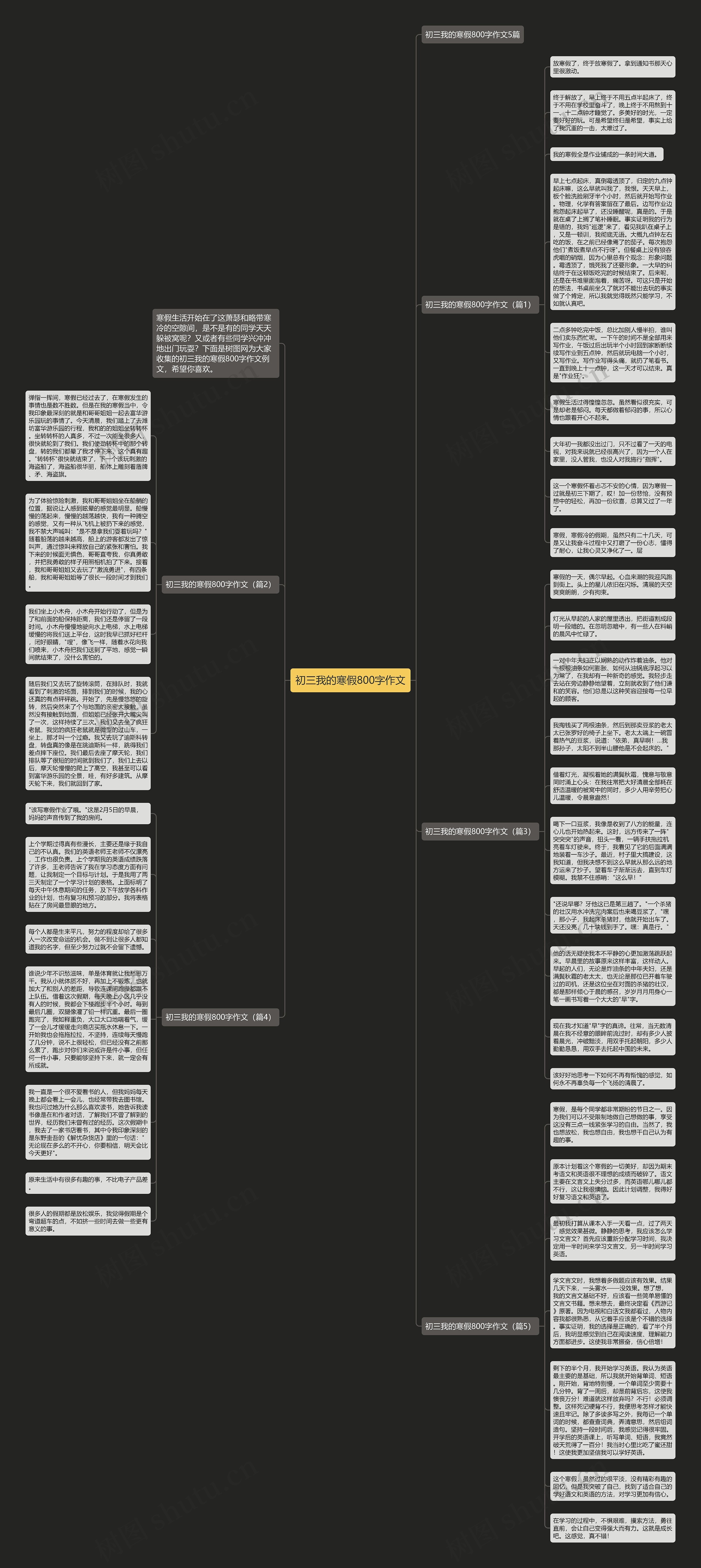 初三我的寒假800字作文思维导图