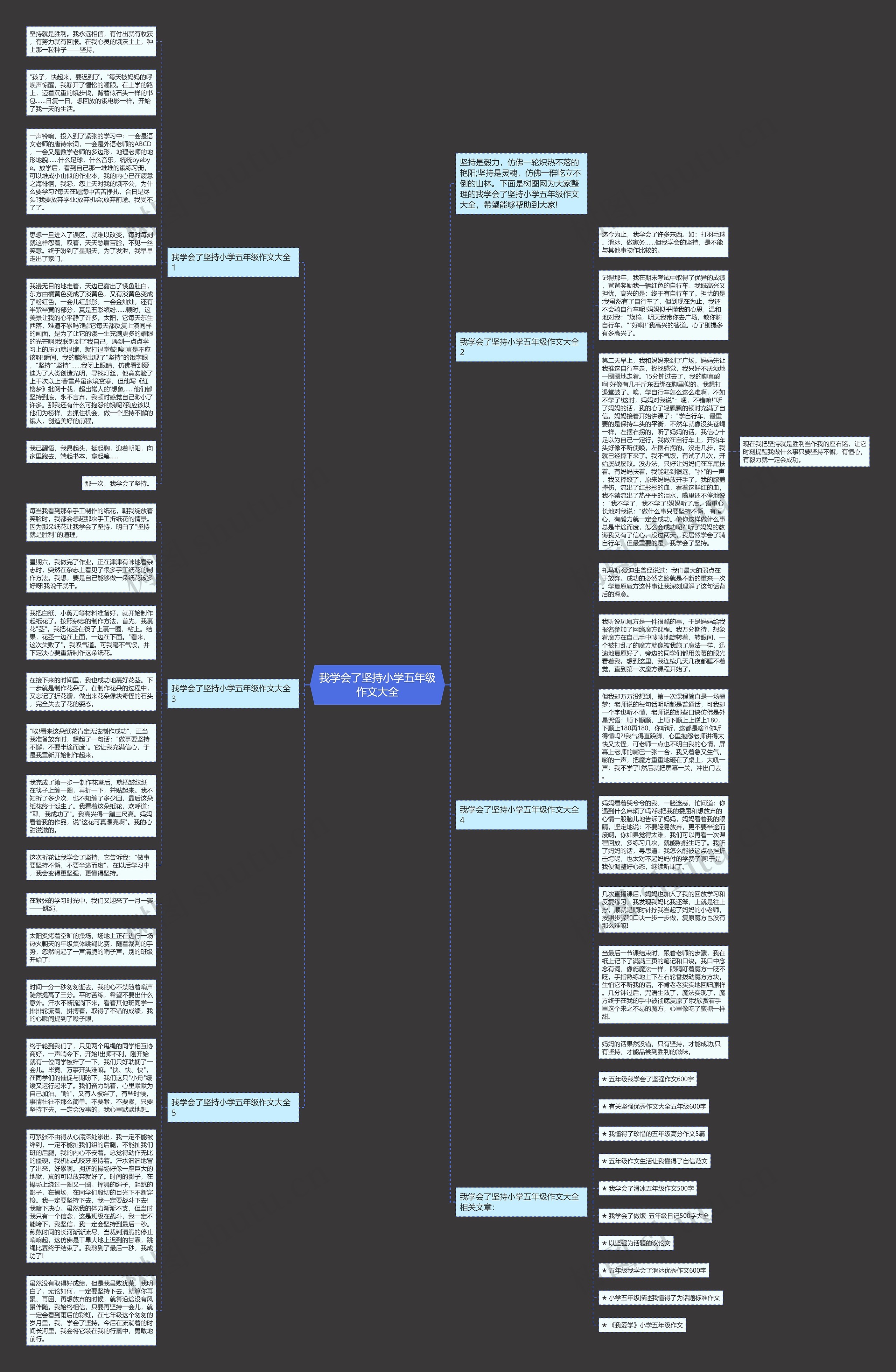 我学会了坚持小学五年级作文大全思维导图
