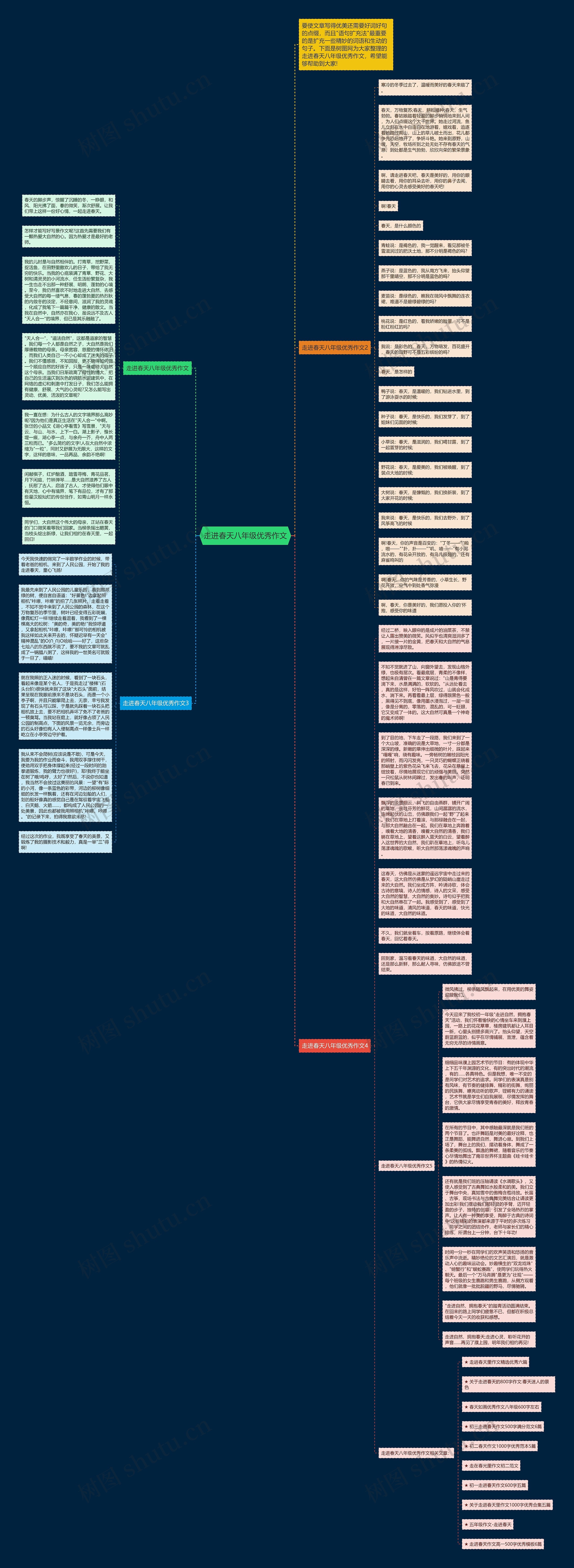 走进春天八年级优秀作文思维导图