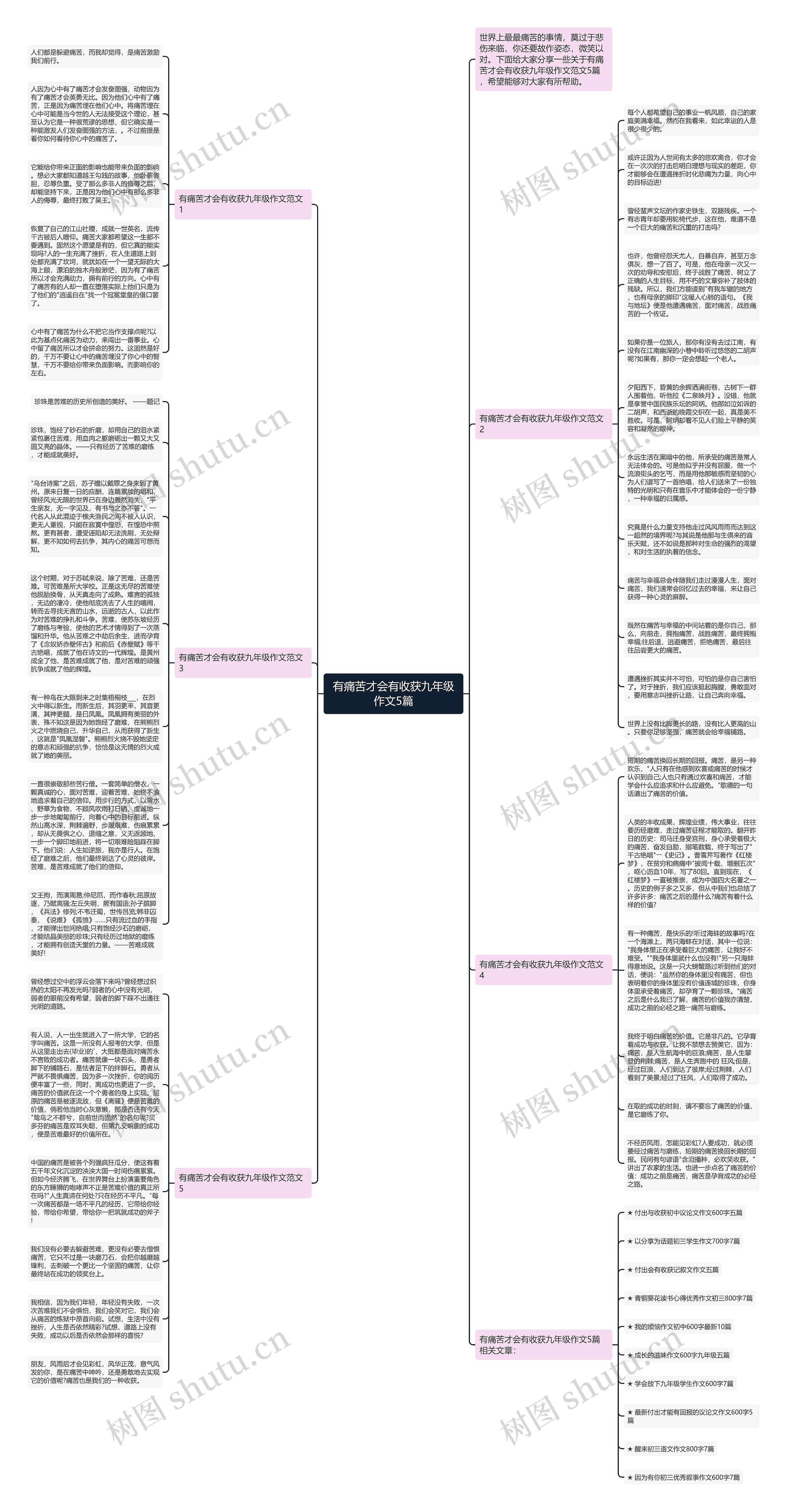 有痛苦才会有收获九年级作文5篇思维导图