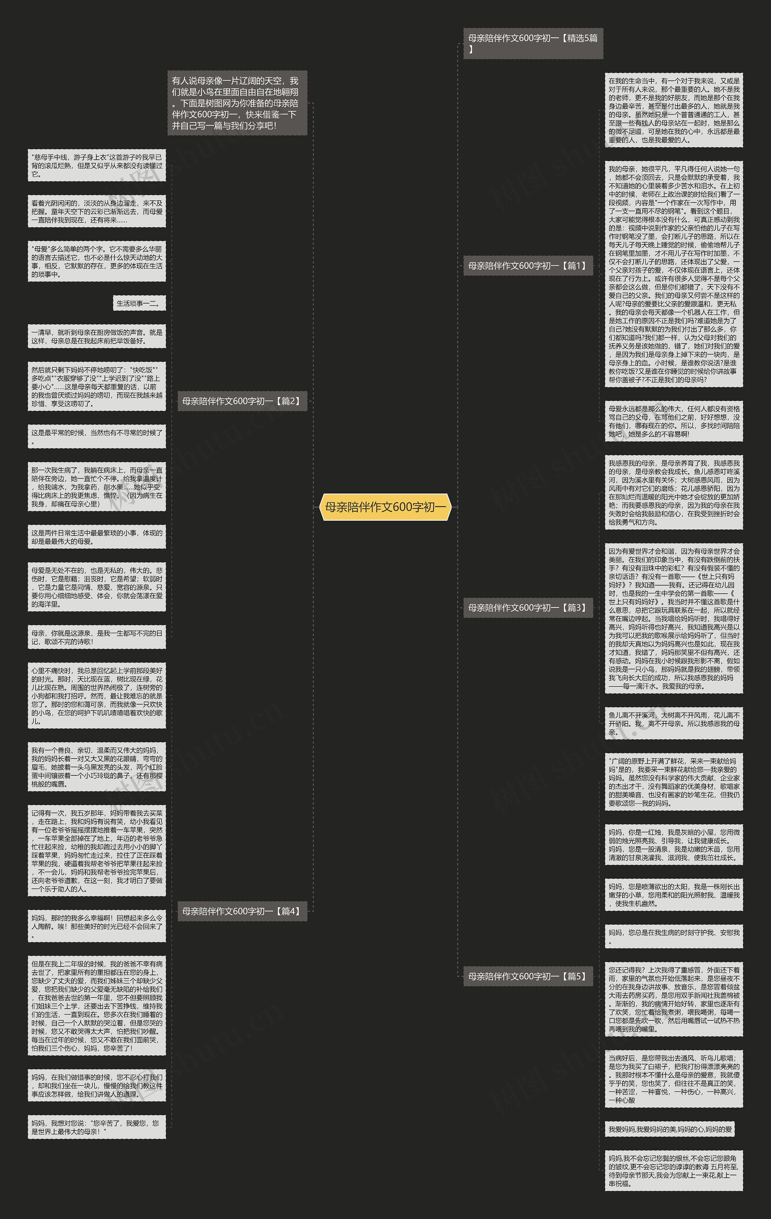 母亲陪伴作文600字初一思维导图