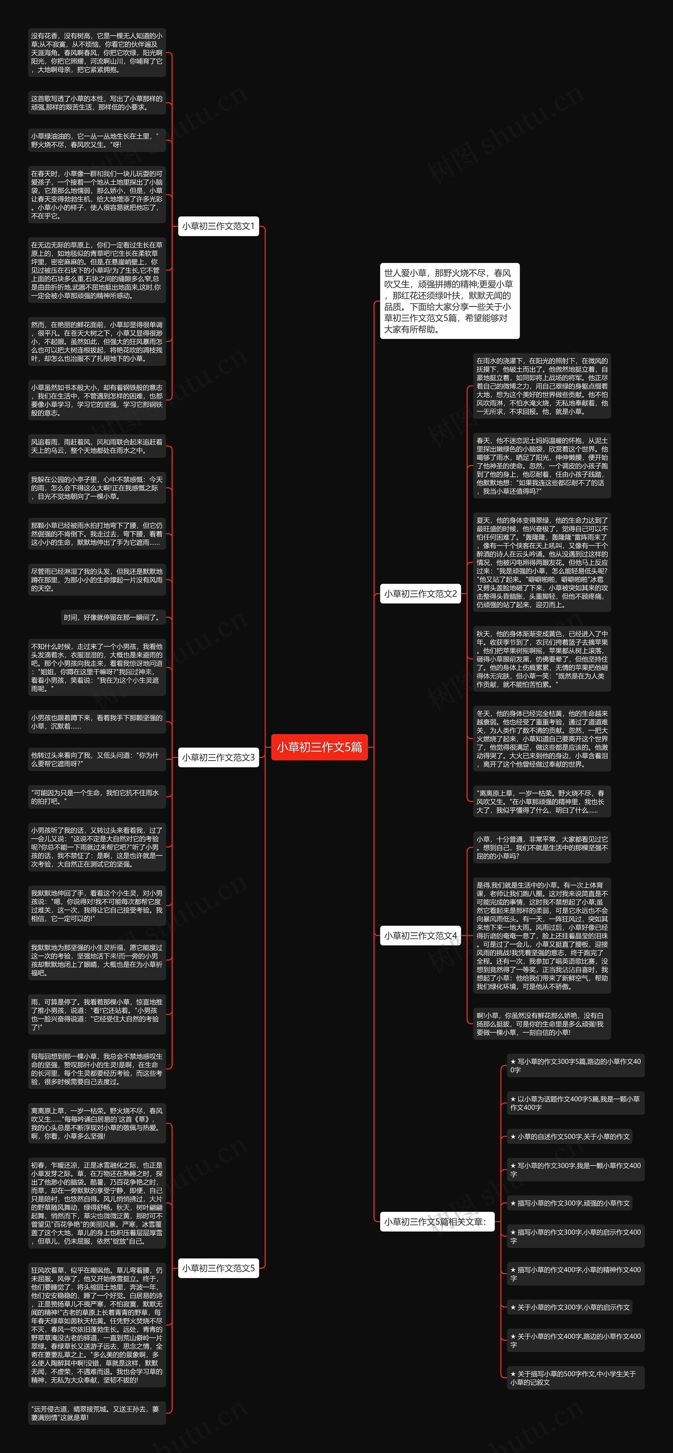 小草初三作文5篇思维导图