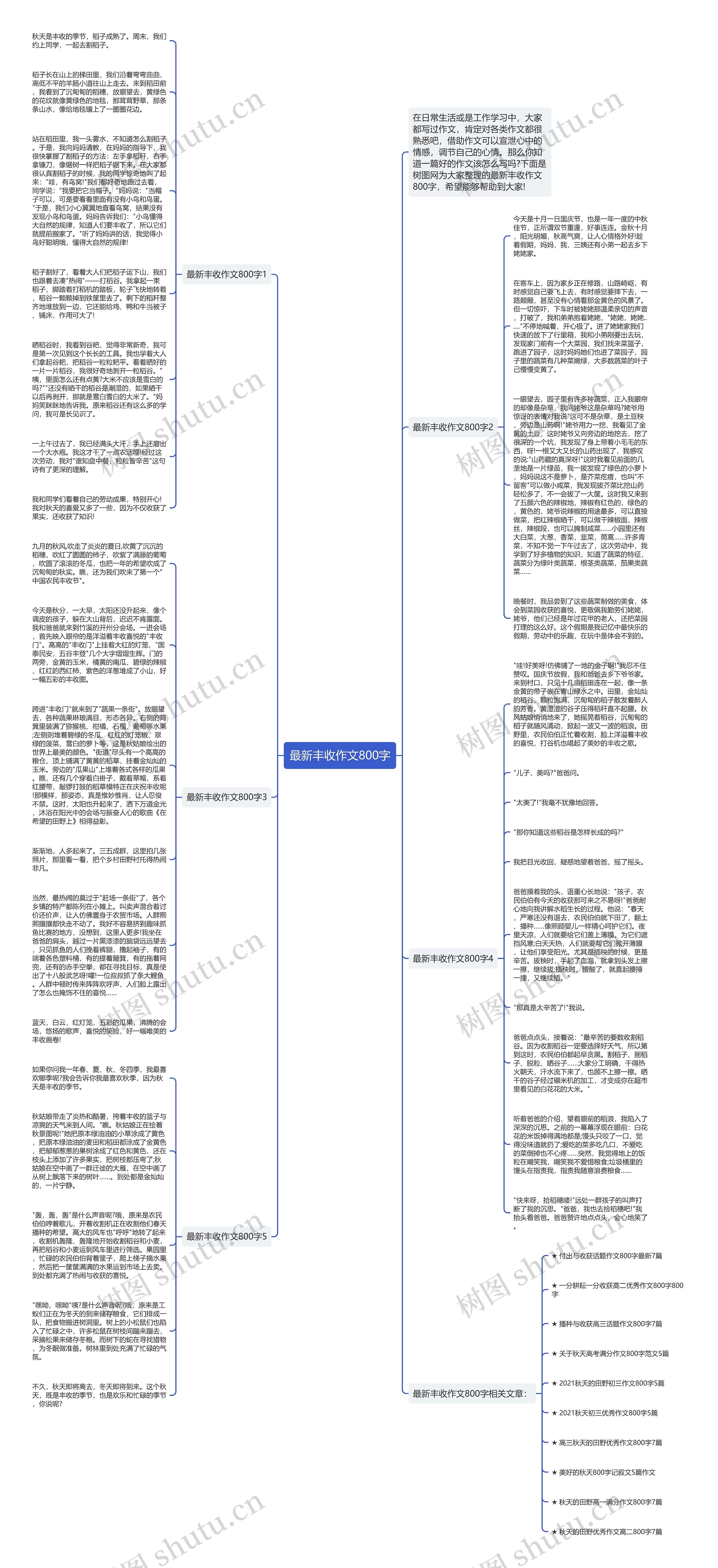 最新丰收作文800字思维导图
