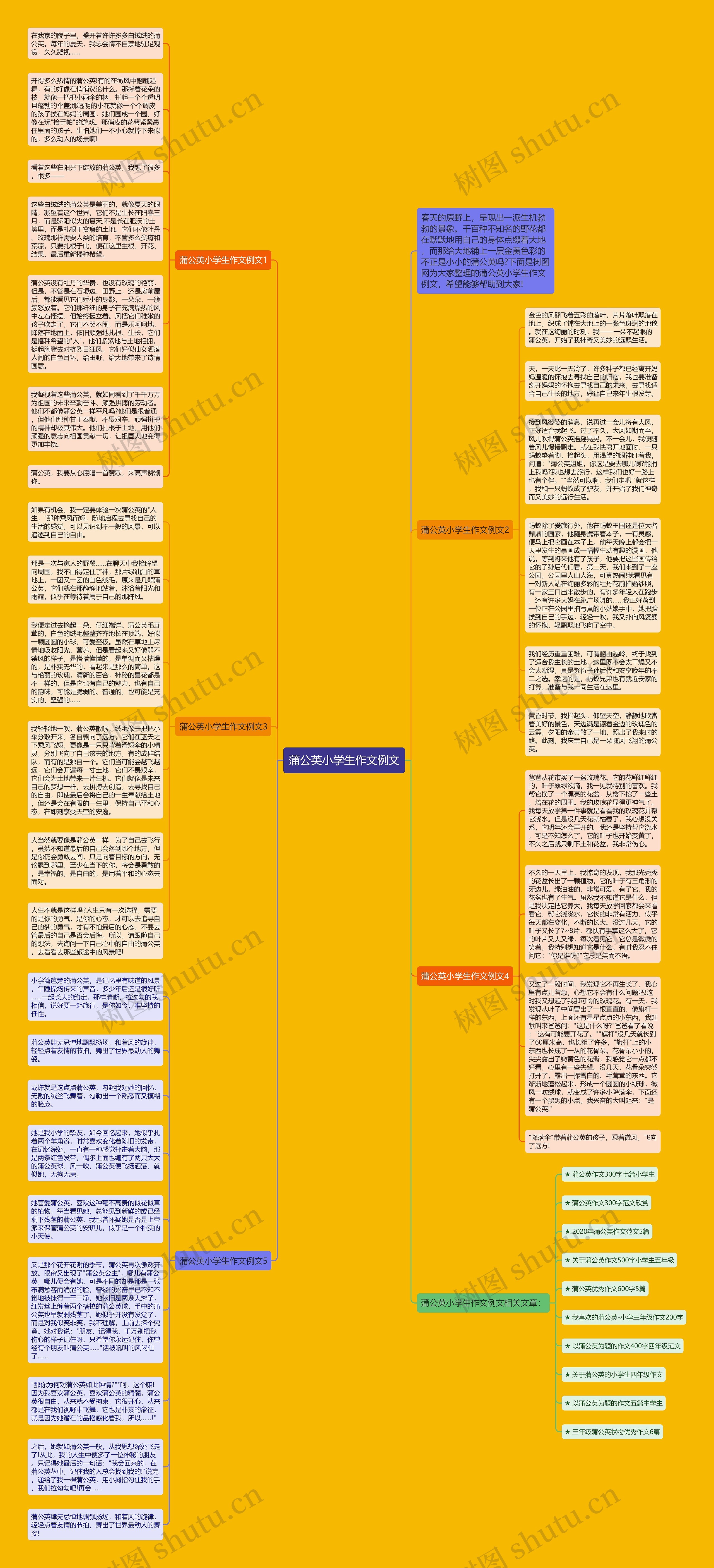 蒲公英小学生作文例文思维导图