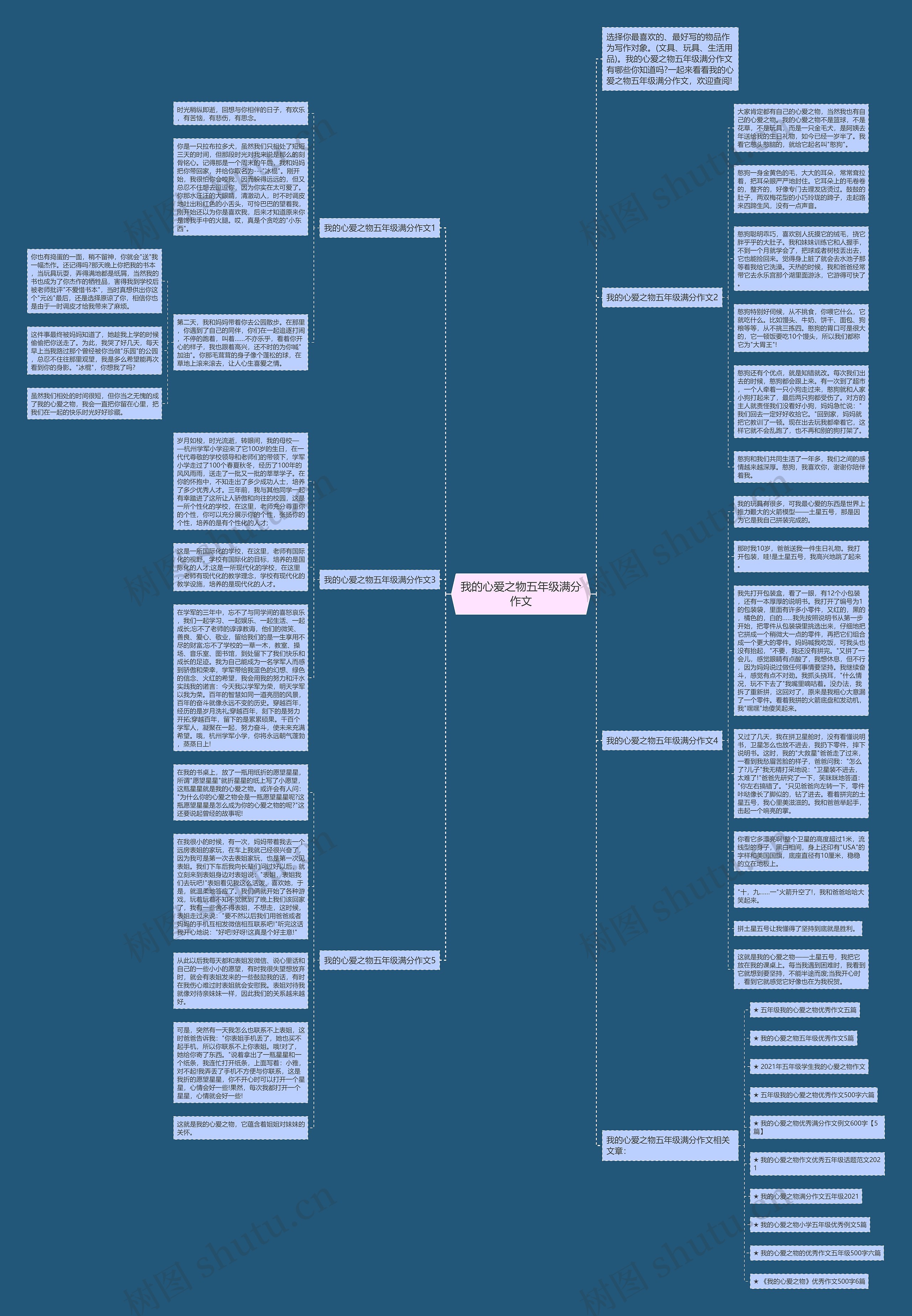 我的心爱之物五年级满分作文思维导图