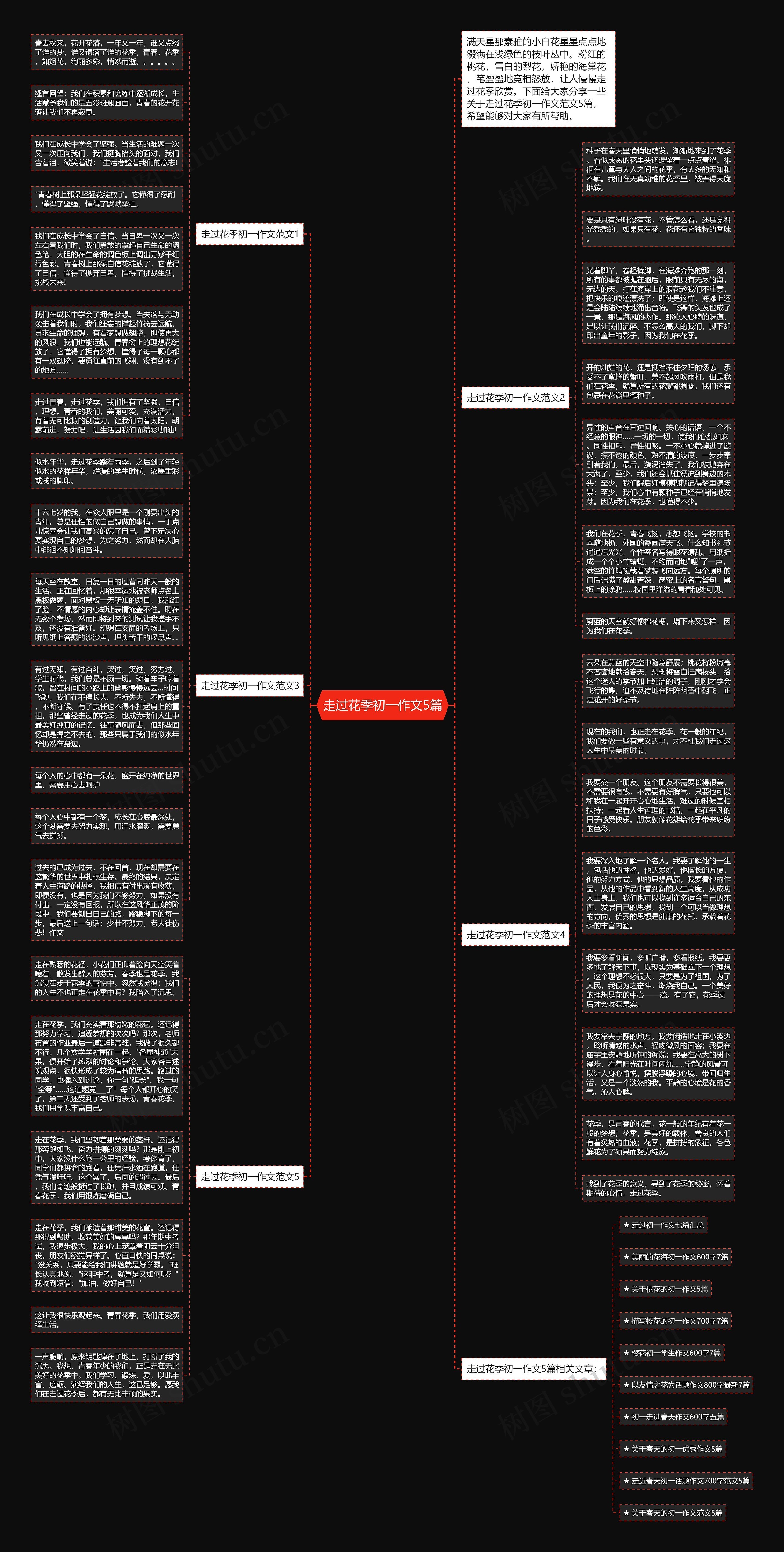 走过花季初一作文5篇思维导图