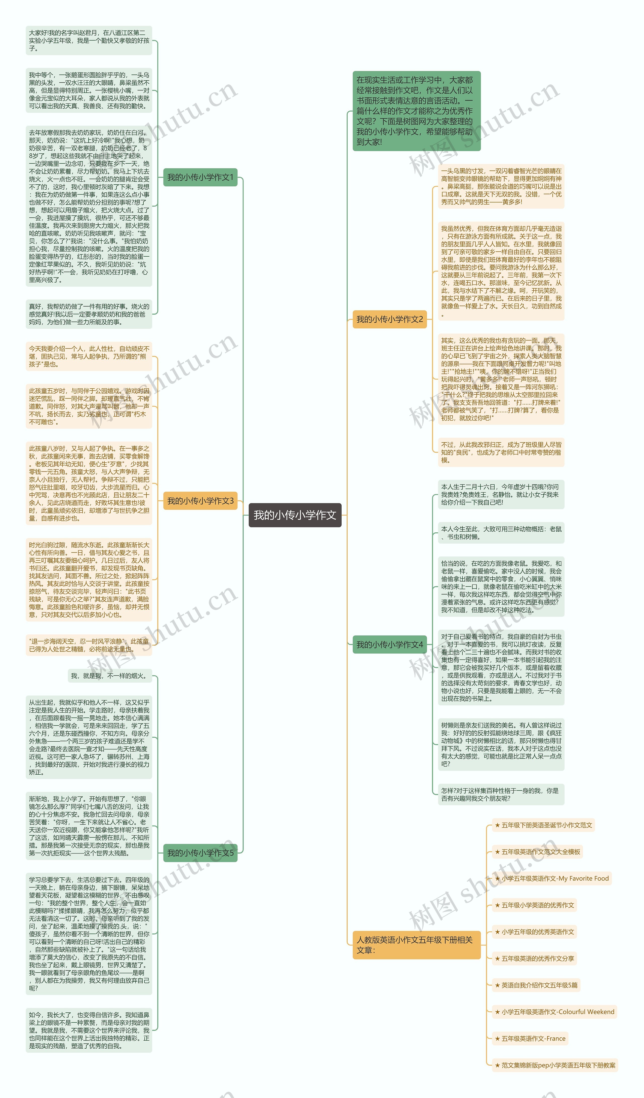 我的小传小学作文思维导图