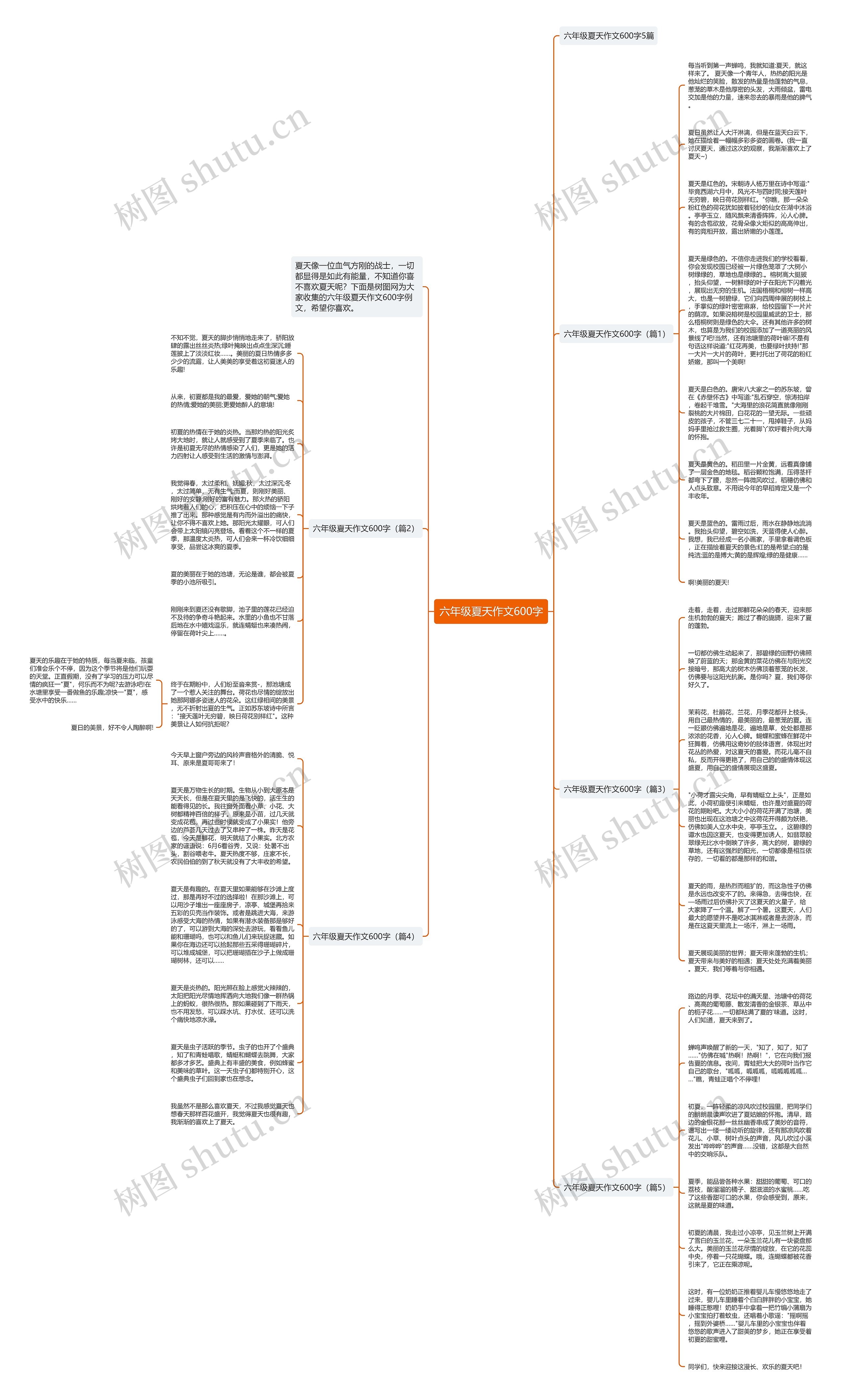 六年级夏天作文600字思维导图