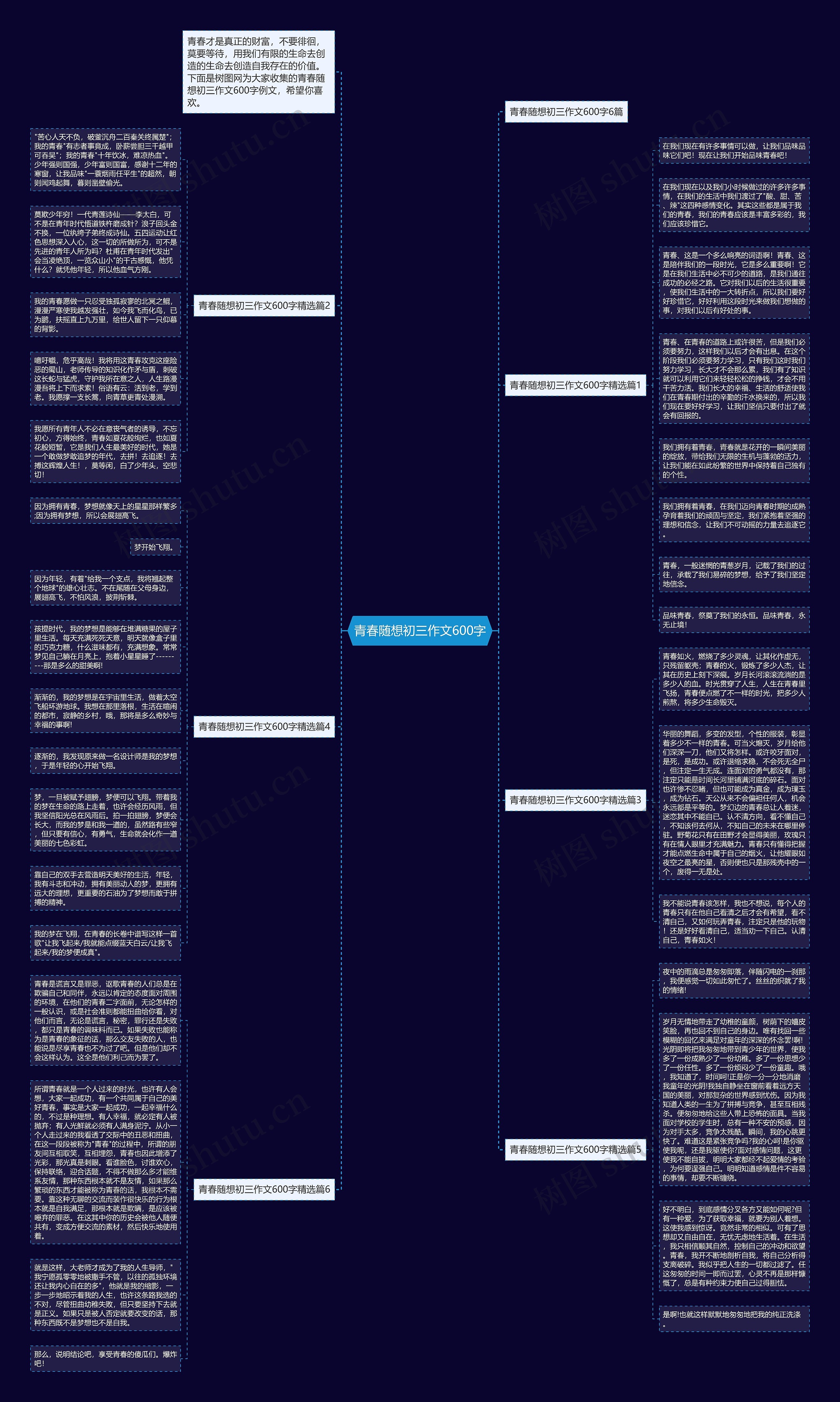 青春随想初三作文600字思维导图