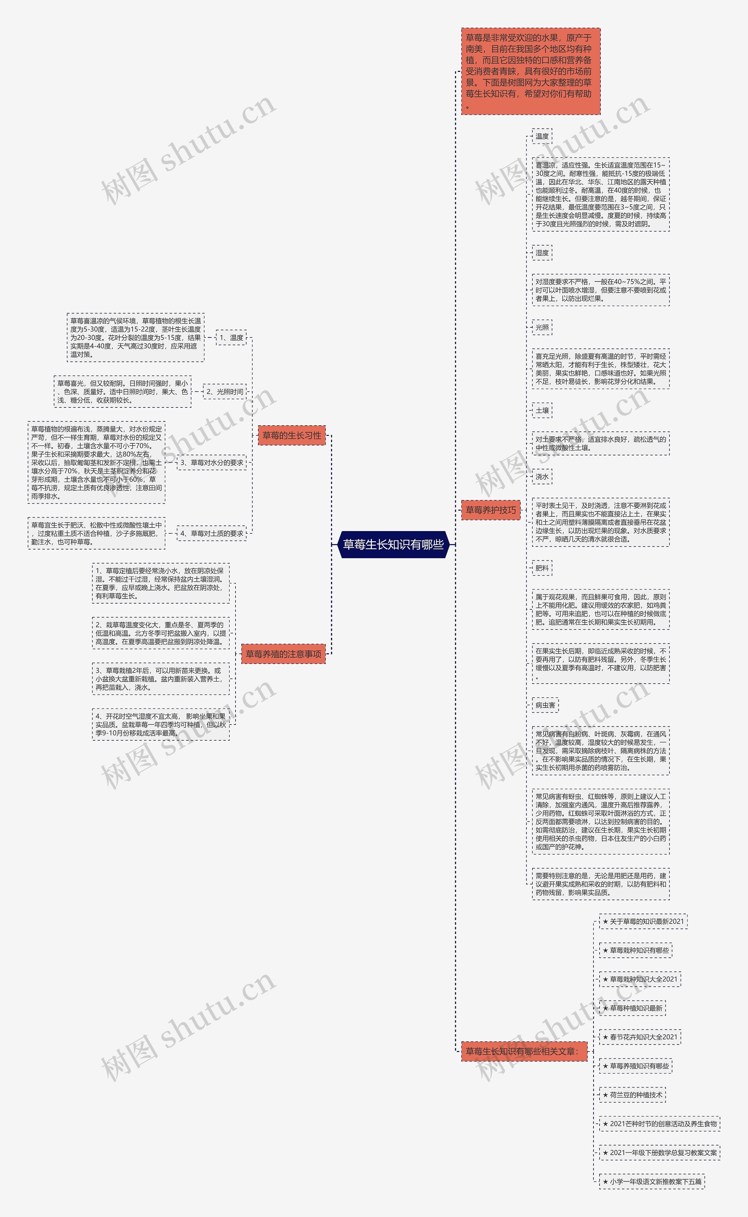 草莓生长知识有哪些思维导图