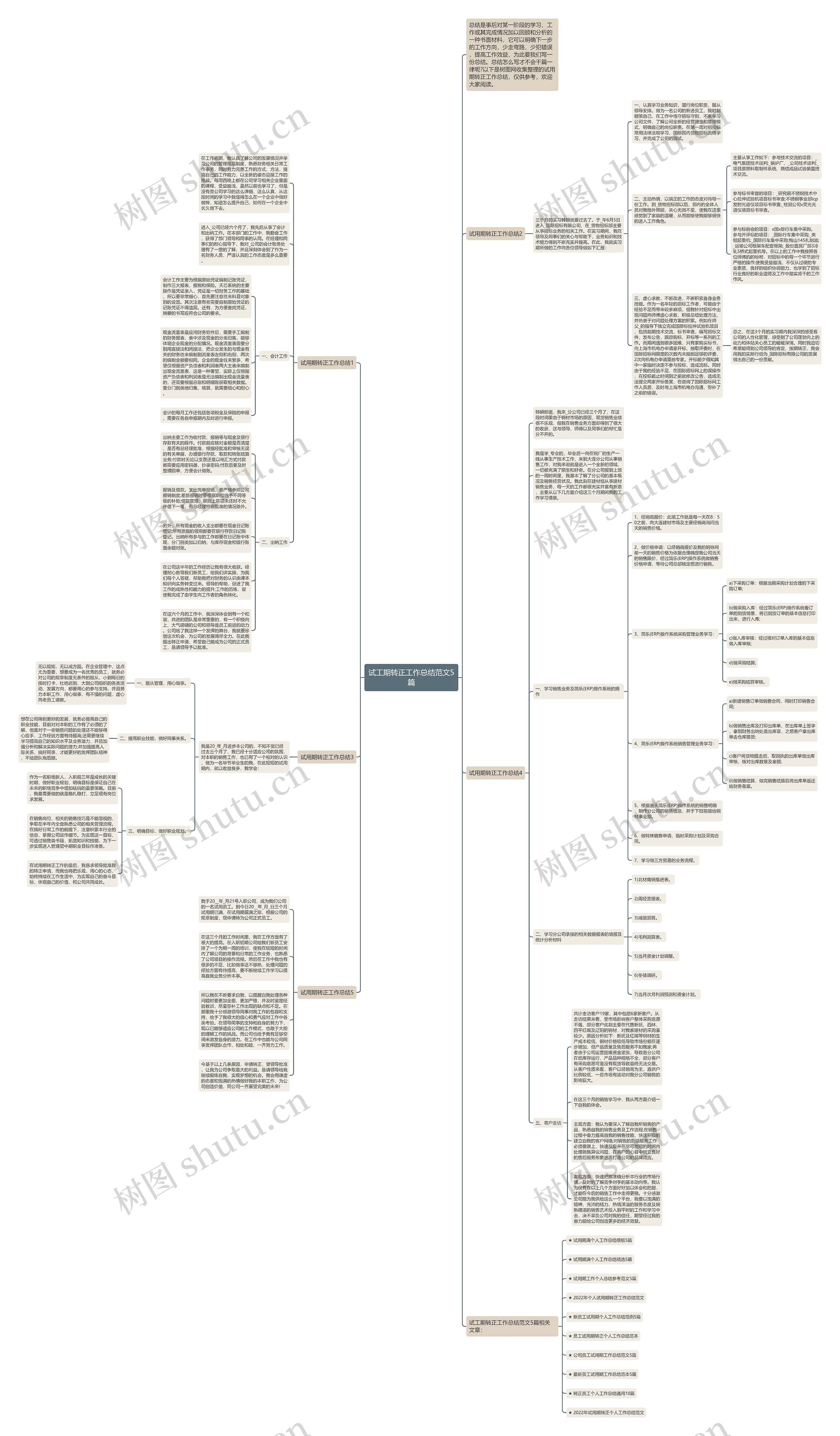 试工期转正工作总结范文5篇思维导图