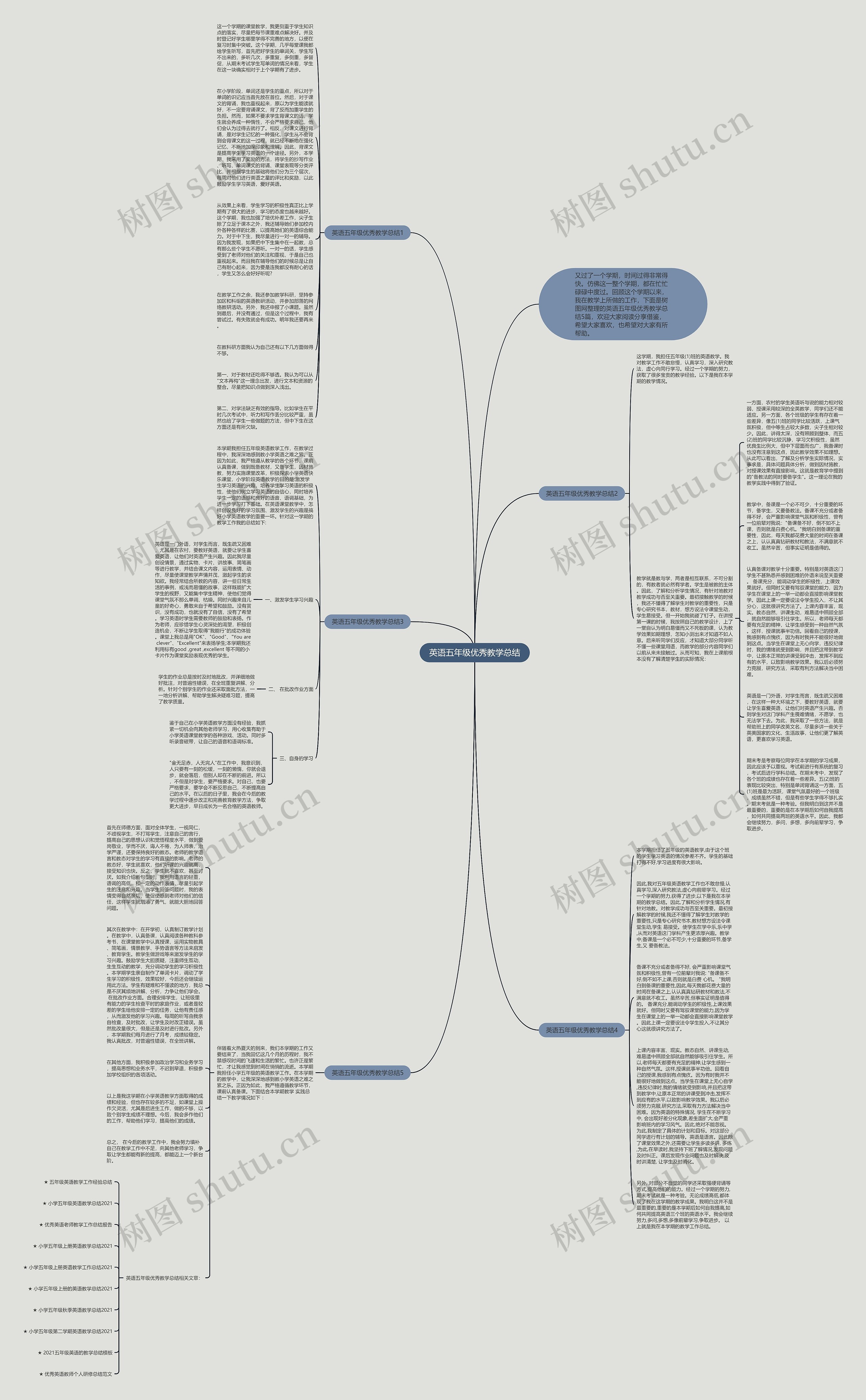 英语五年级优秀教学总结思维导图