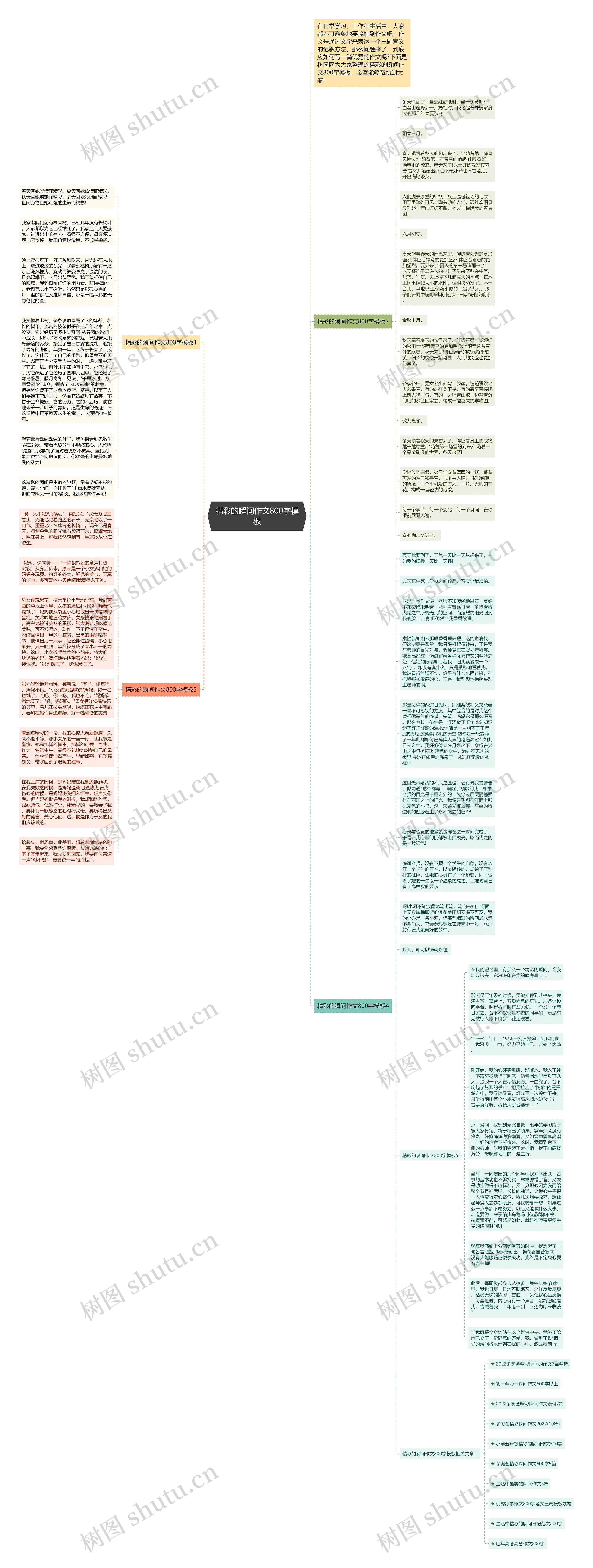 精彩的瞬间作文800字思维导图