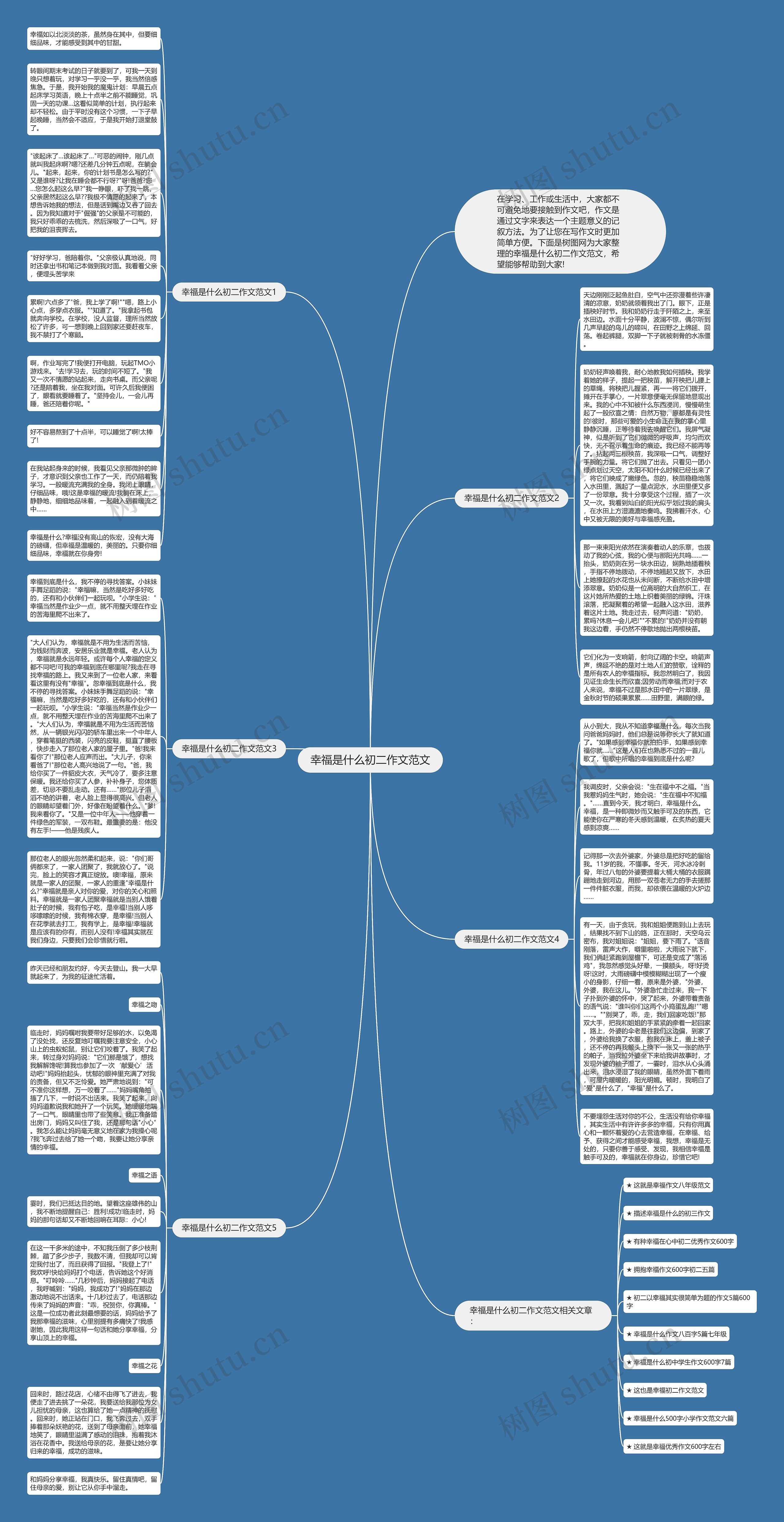 幸福是什么初二作文范文思维导图