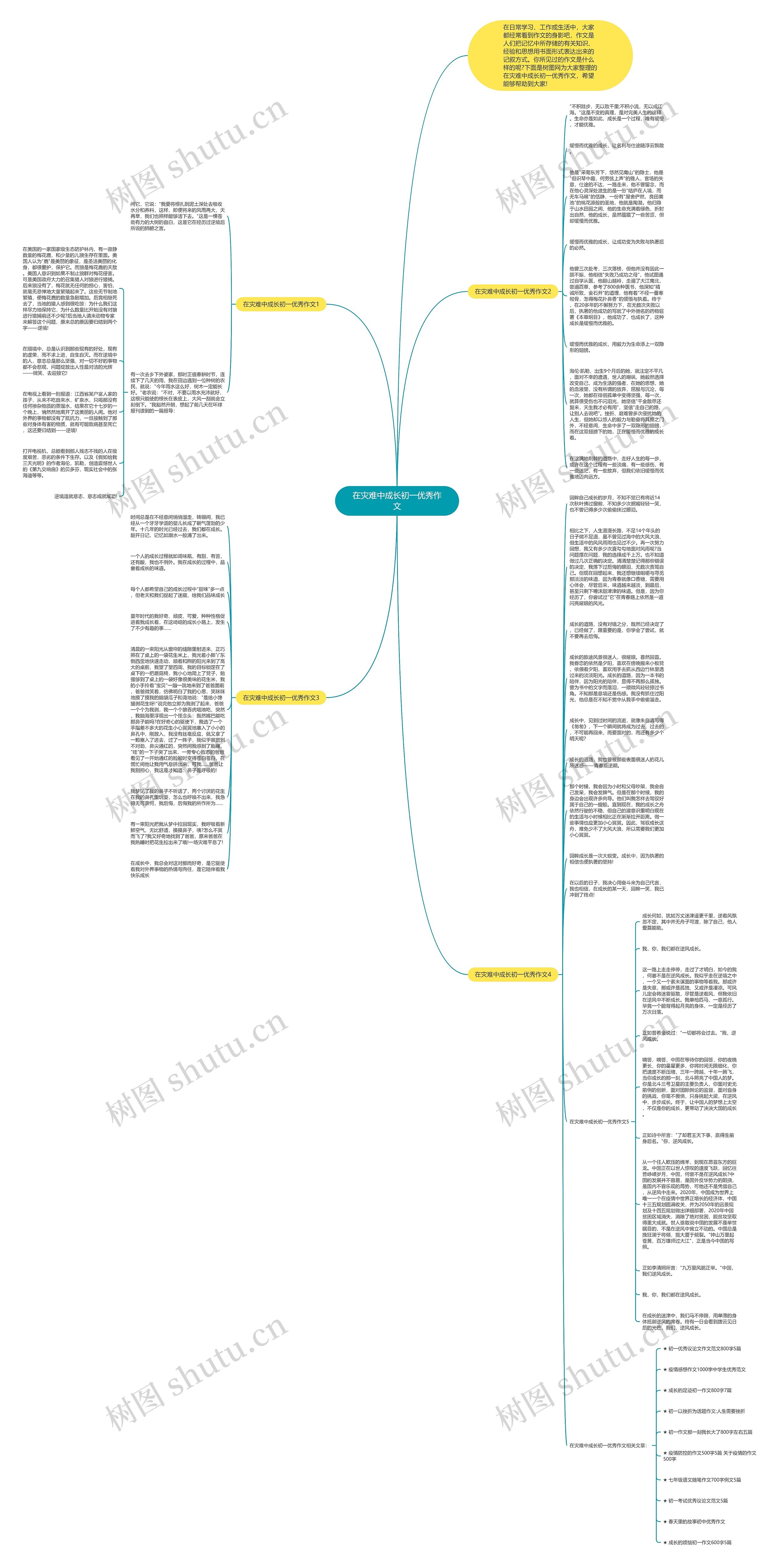 在灾难中成长初一优秀作文思维导图