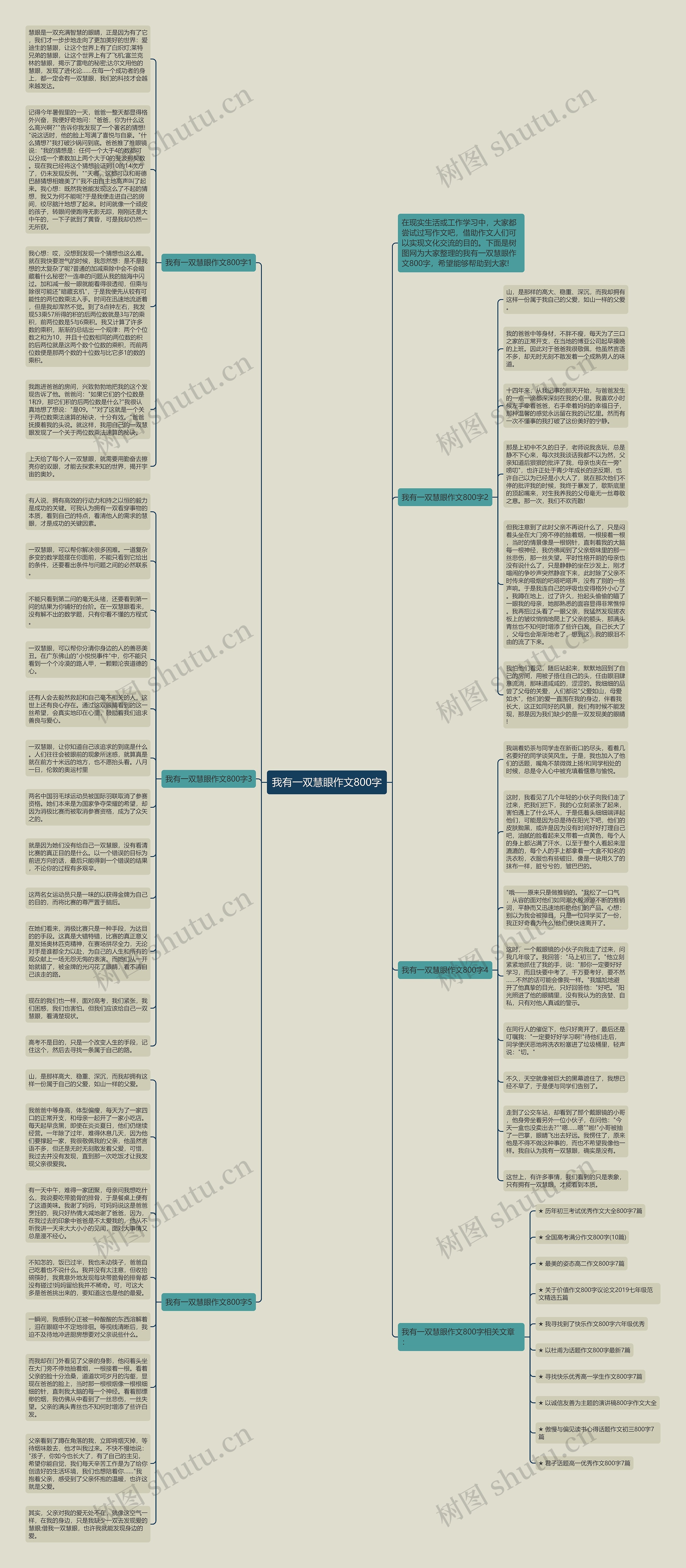 我有一双慧眼作文800字思维导图
