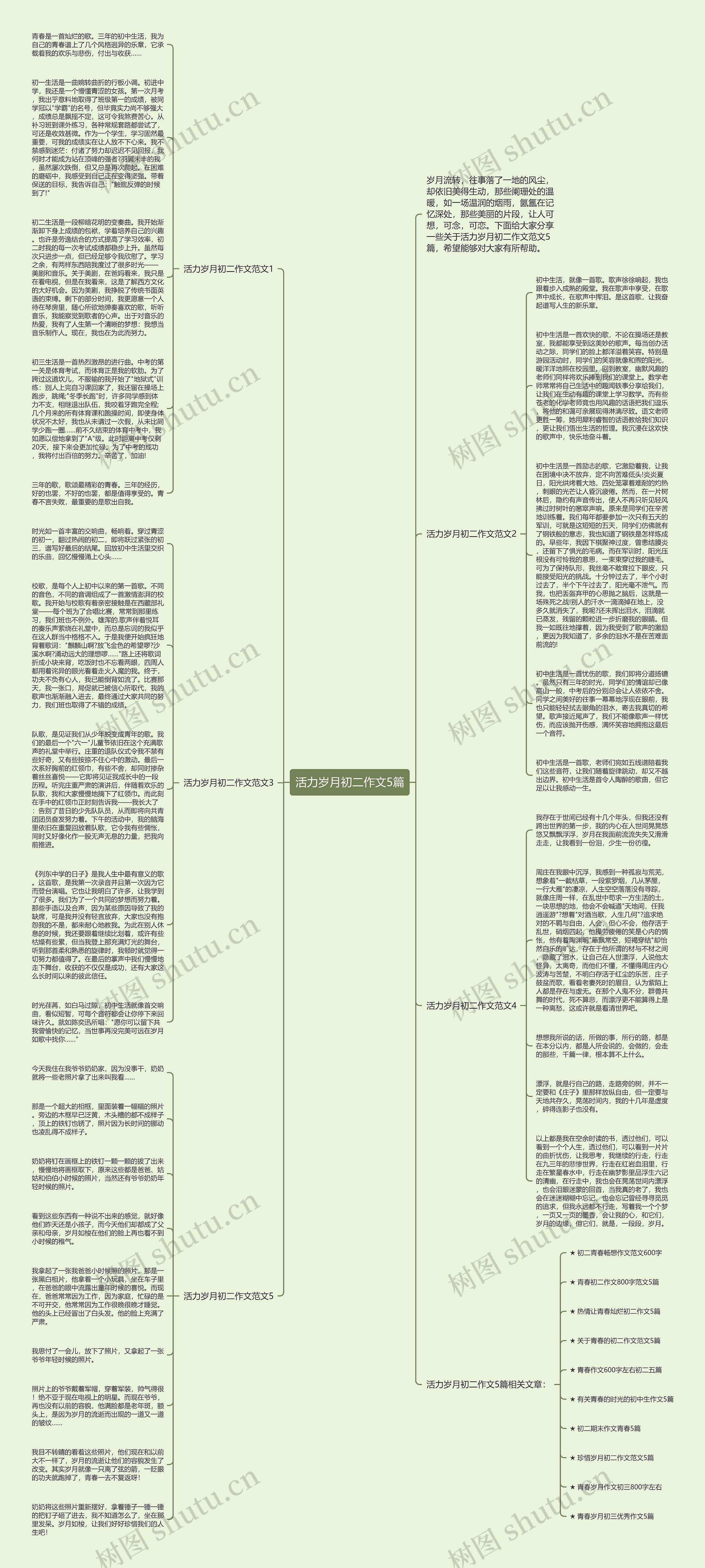 活力岁月初二作文5篇思维导图