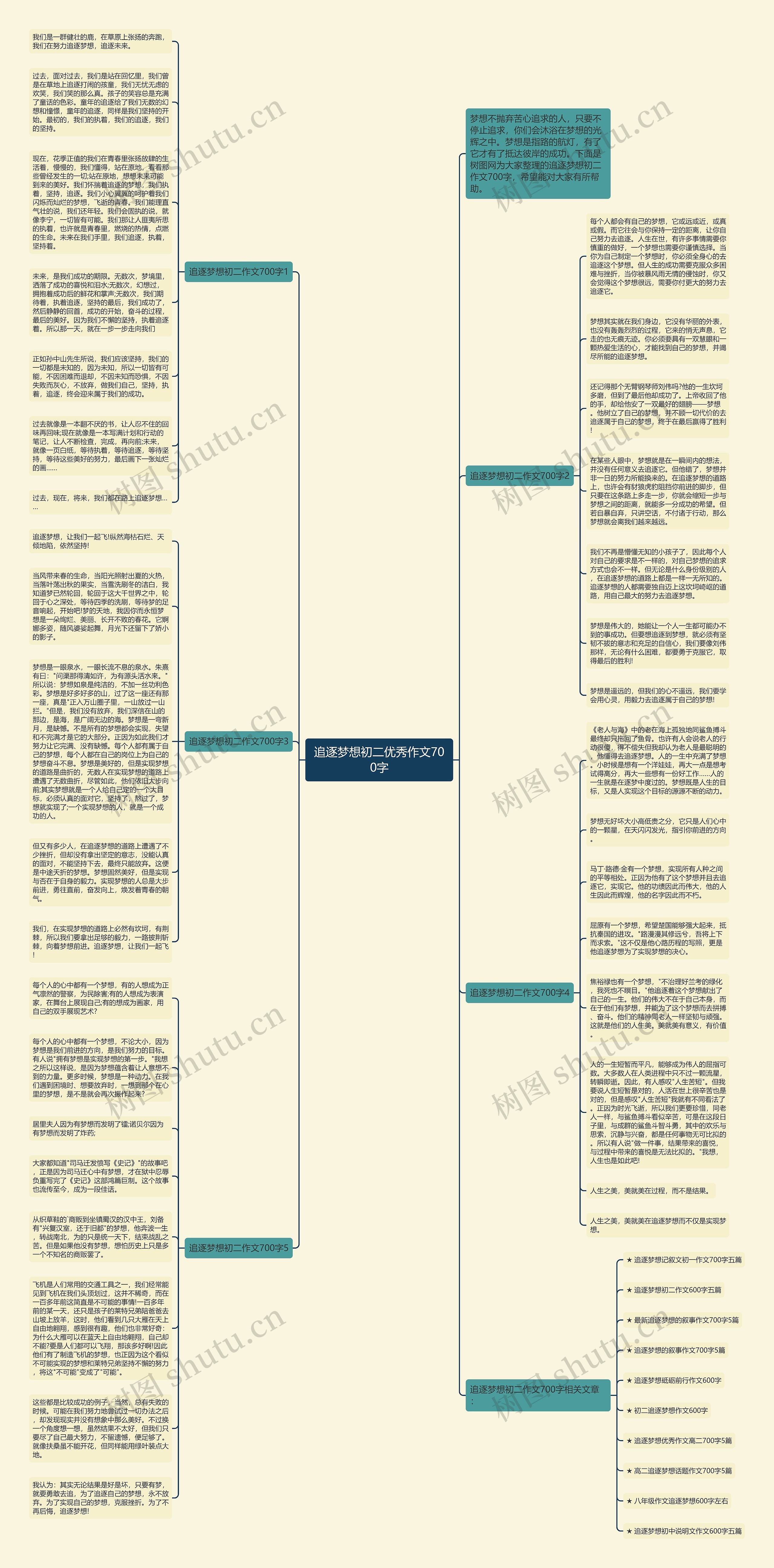 追逐梦想初二优秀作文700字思维导图