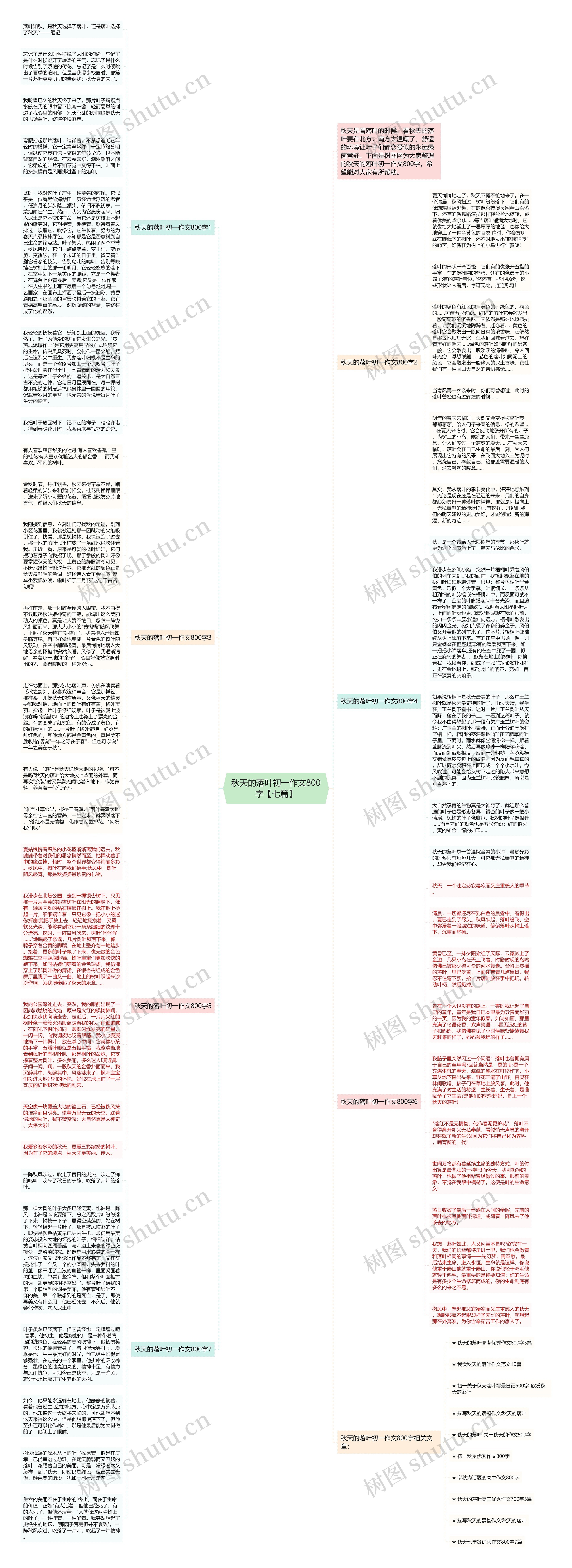 秋天的落叶初一作文800字【七篇】思维导图