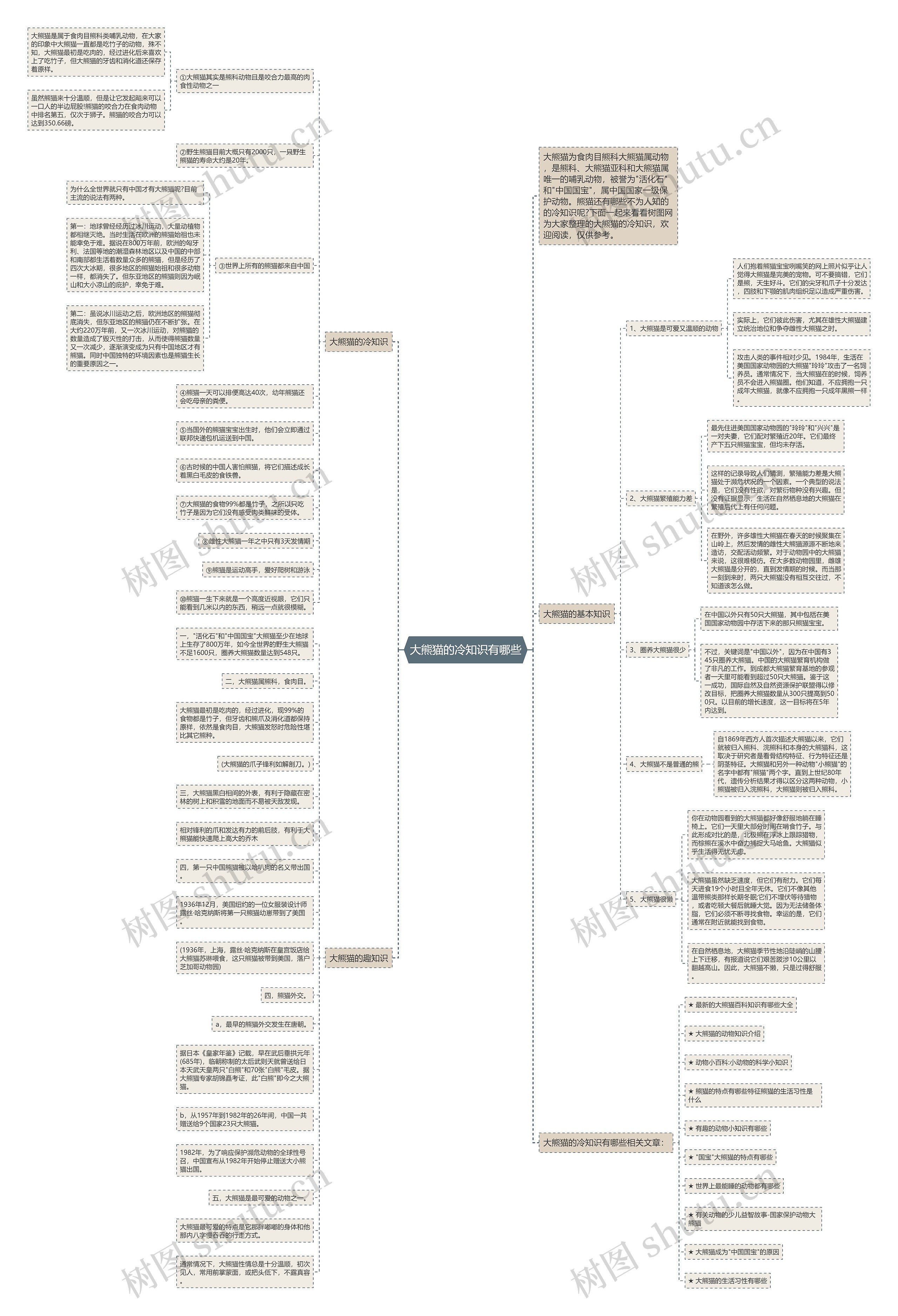 大熊猫的冷知识有哪些思维导图
