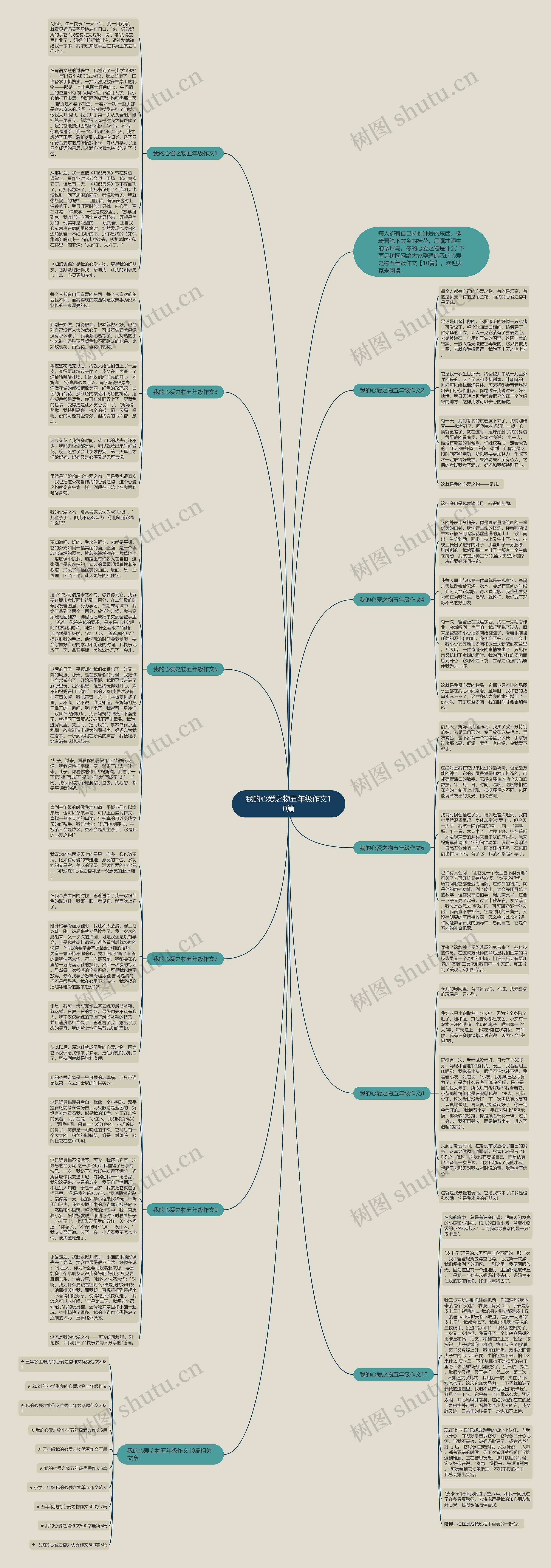 我的心爱之物五年级作文10篇思维导图