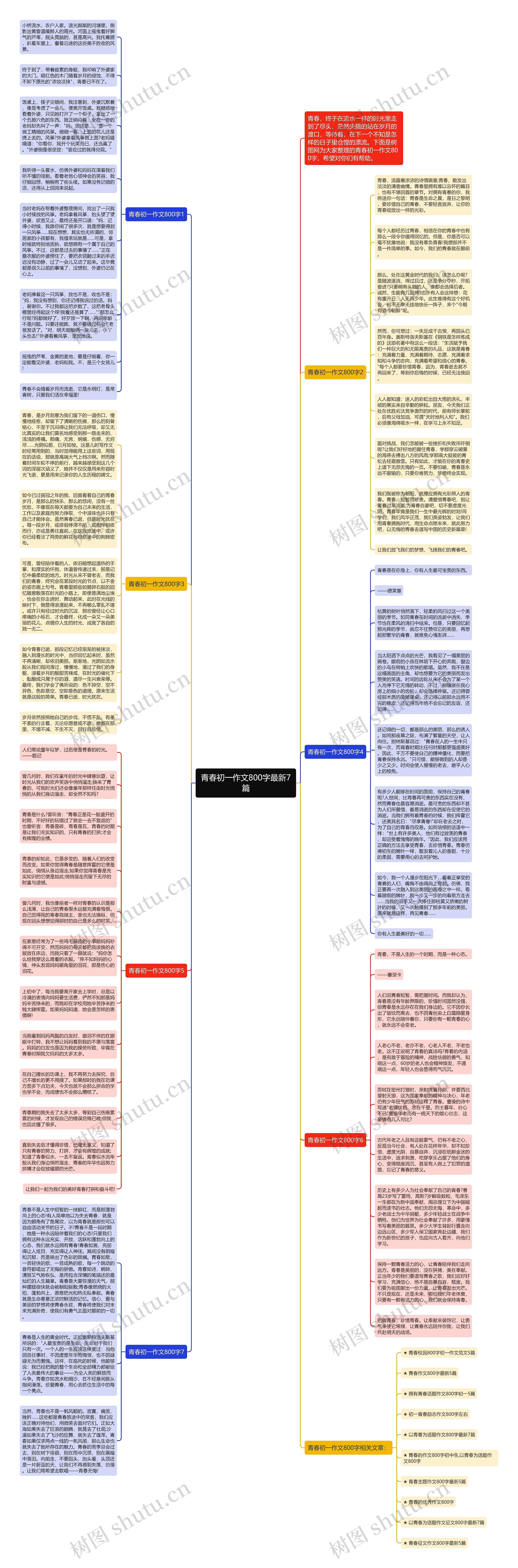 青春初一作文800字最新7篇思维导图