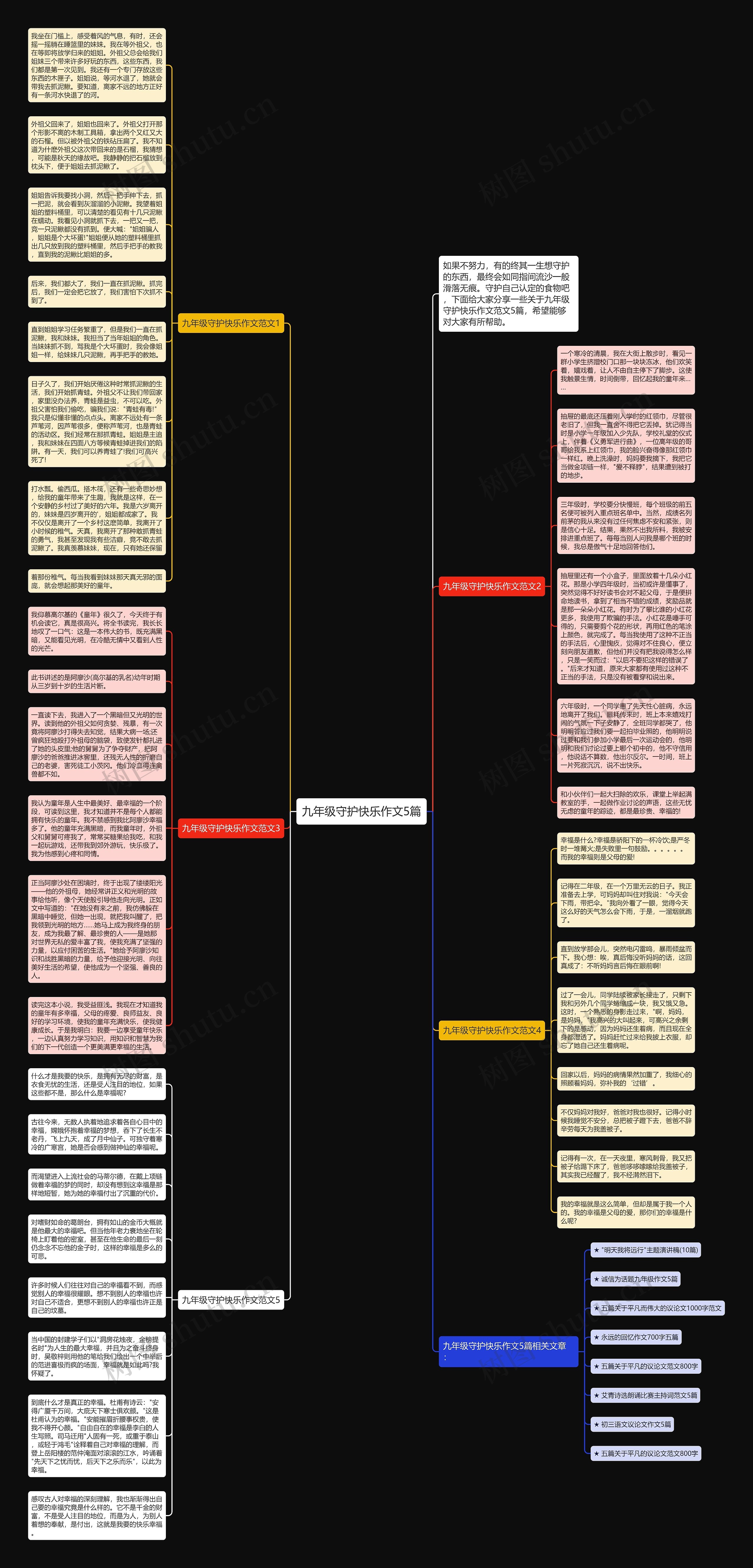 九年级守护快乐作文5篇思维导图