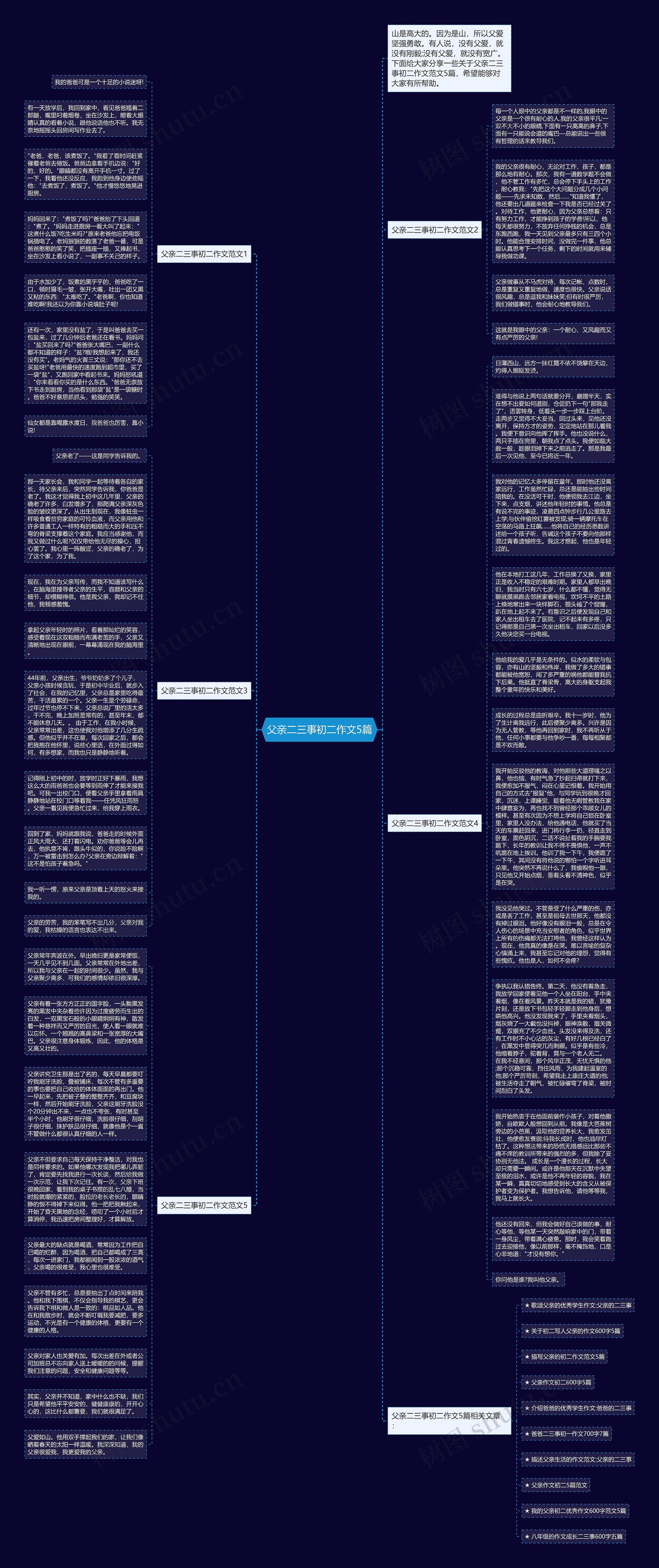 父亲二三事初二作文5篇思维导图