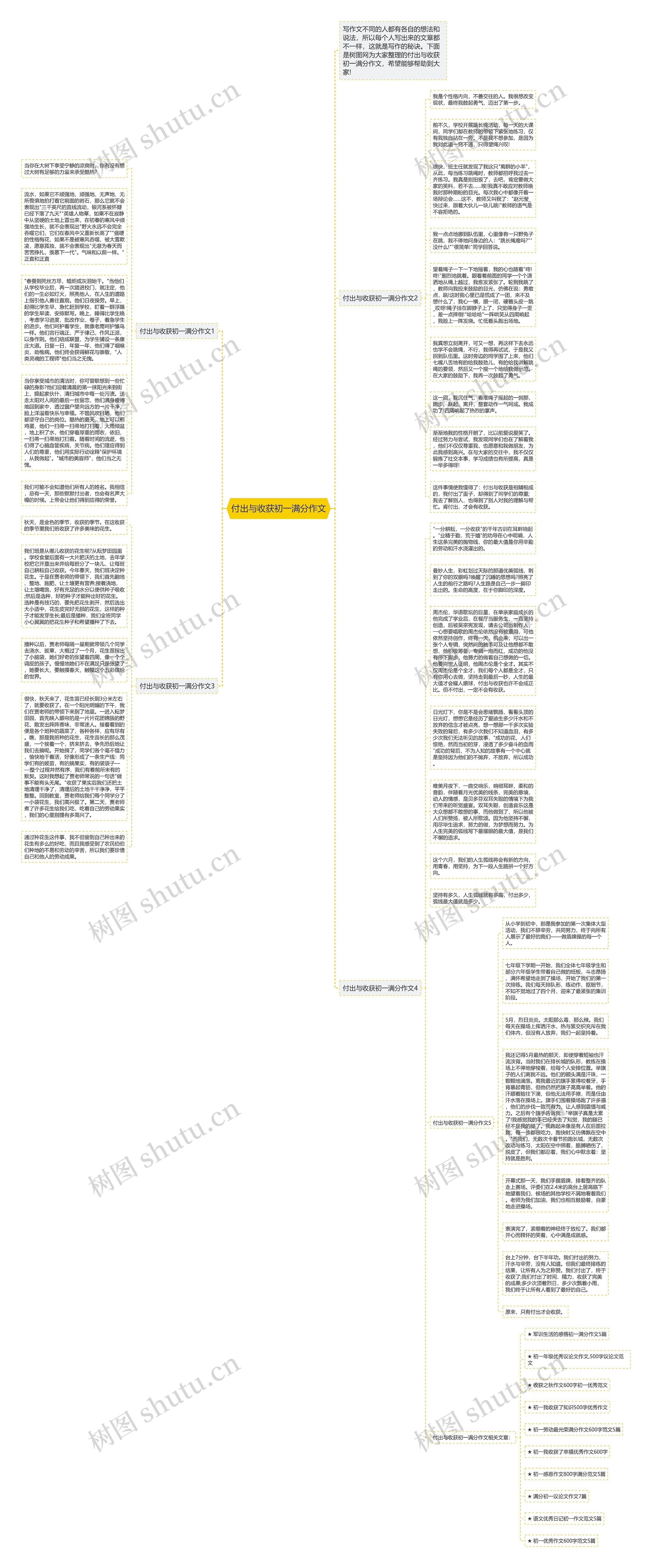 付出与收获初一满分作文