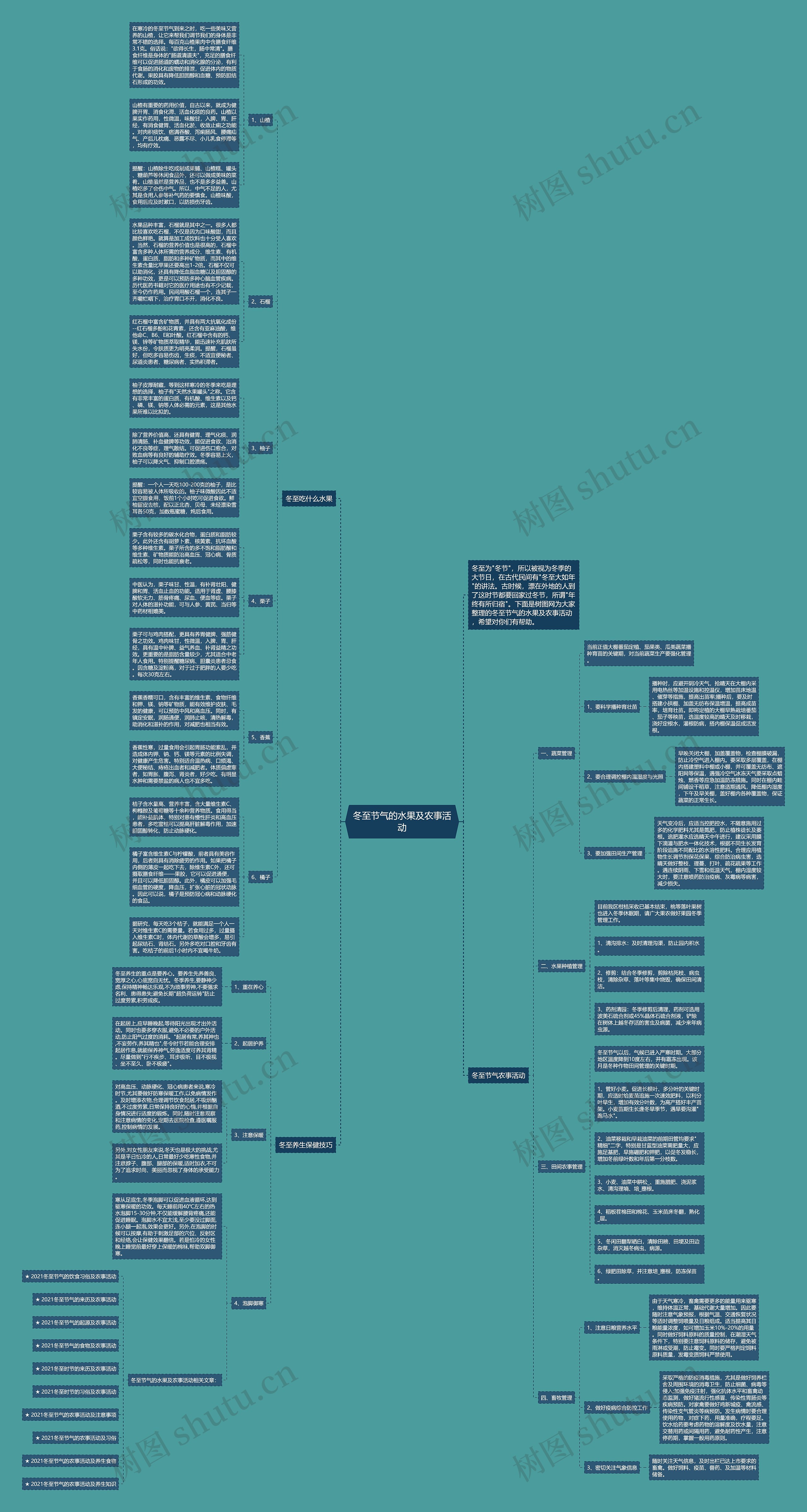 冬至节气的水果及农事活动思维导图