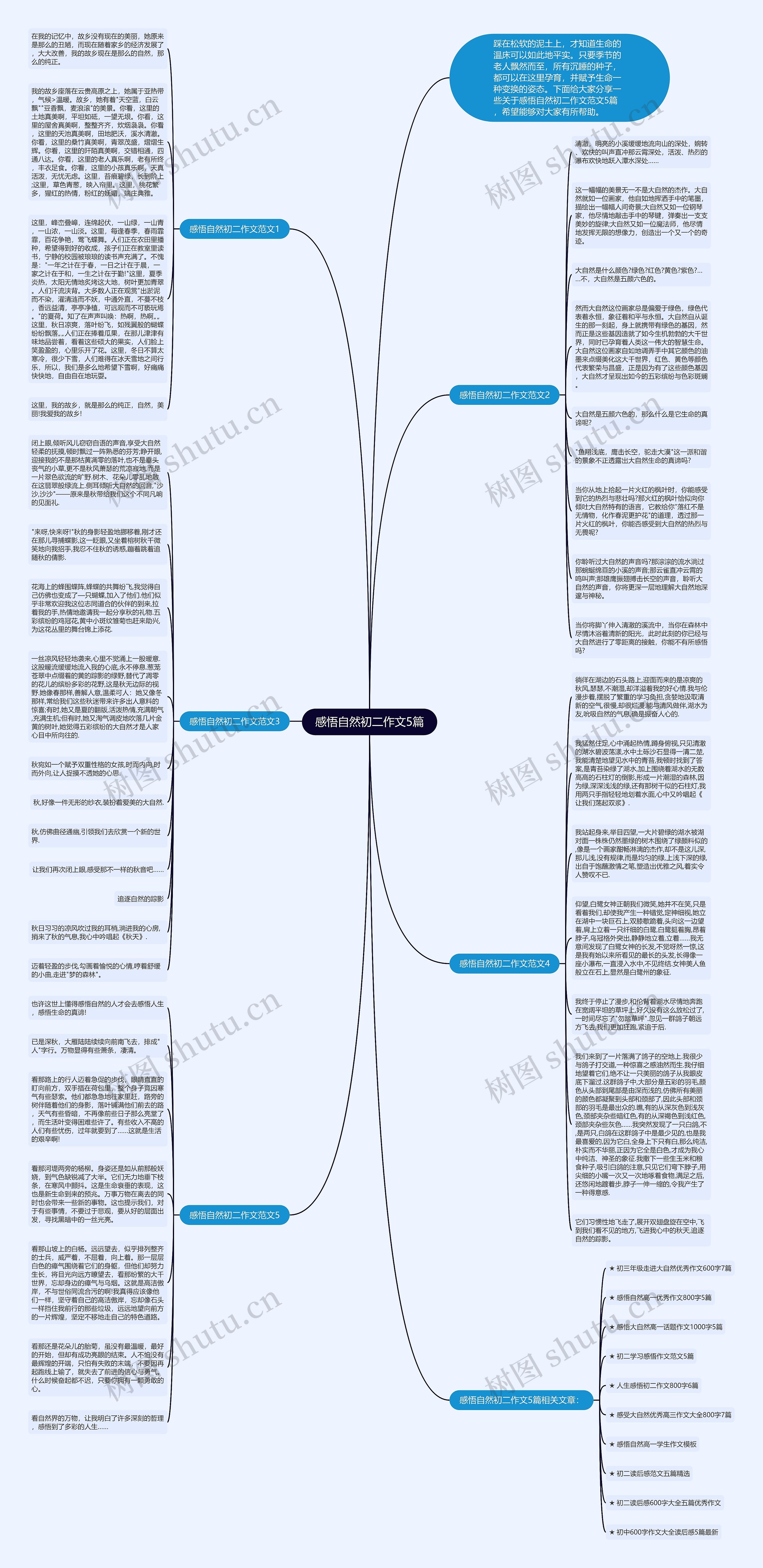 感悟自然初二作文5篇思维导图