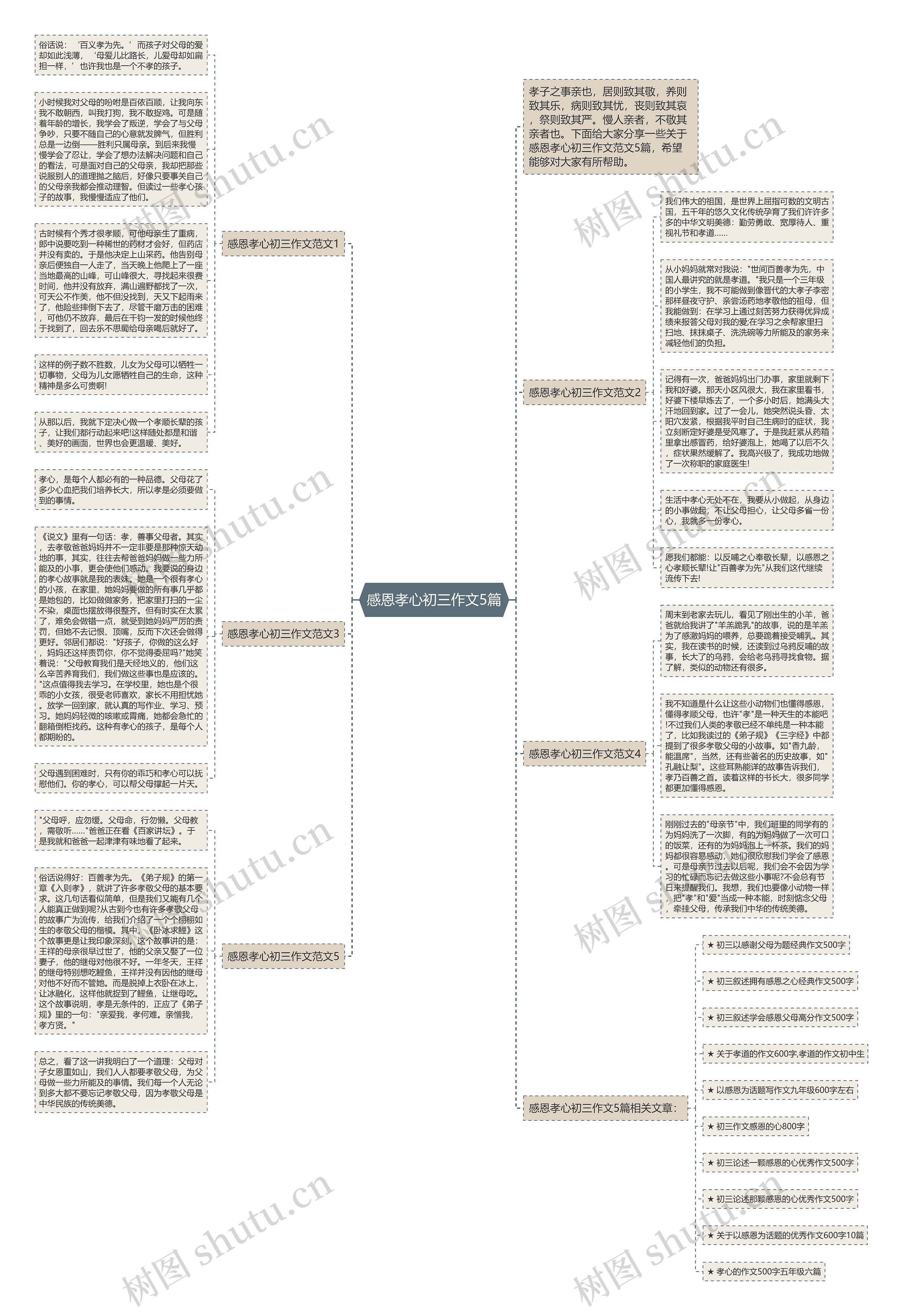 感恩孝心初三作文5篇思维导图