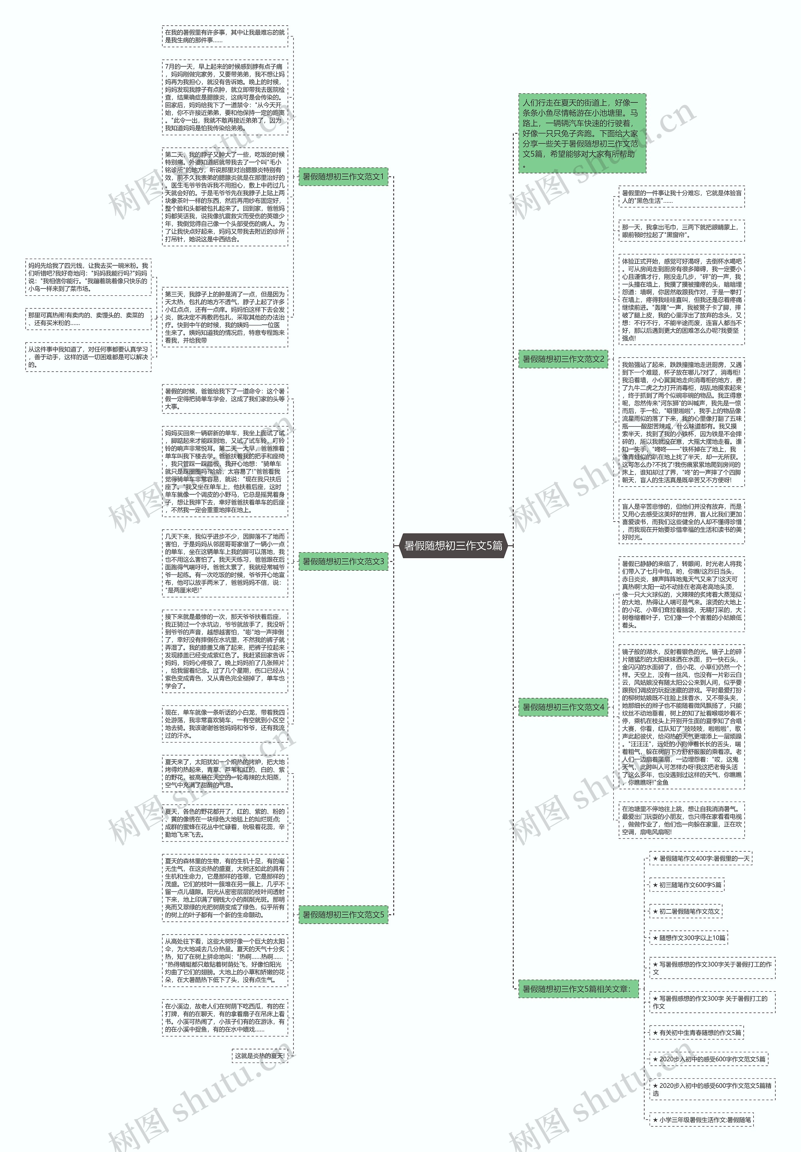 暑假随想初三作文5篇思维导图
