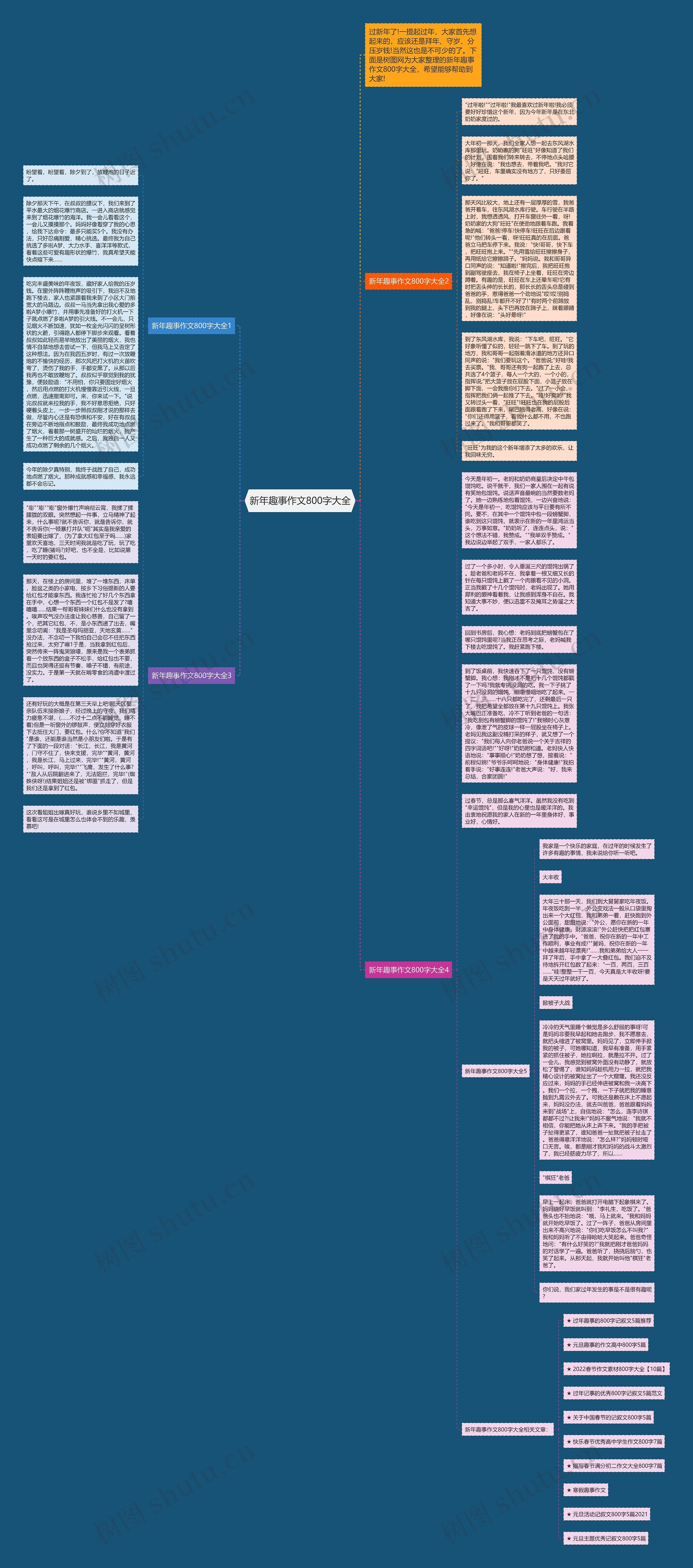 新年趣事作文800字大全思维导图