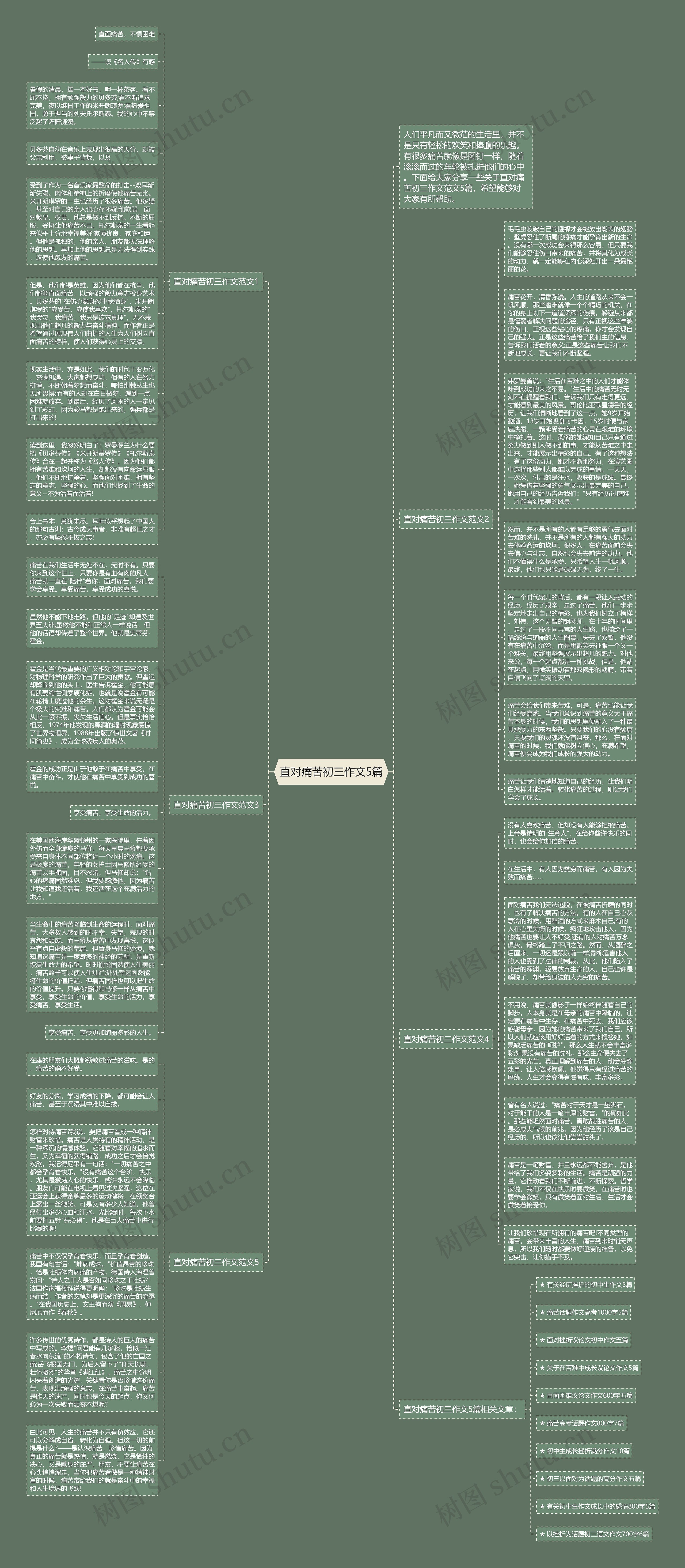 直对痛苦初三作文5篇思维导图