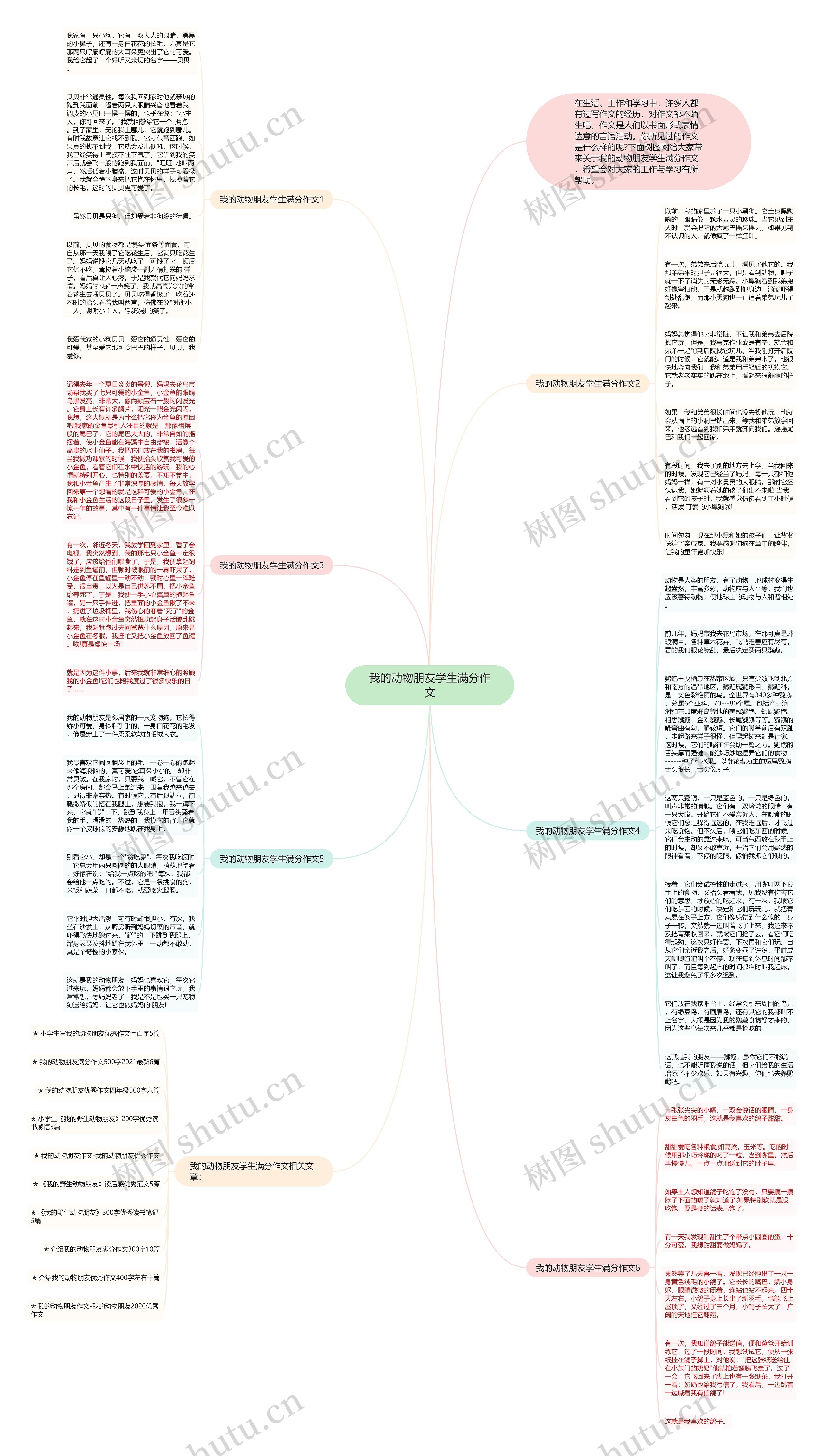 我的动物朋友学生满分作文思维导图