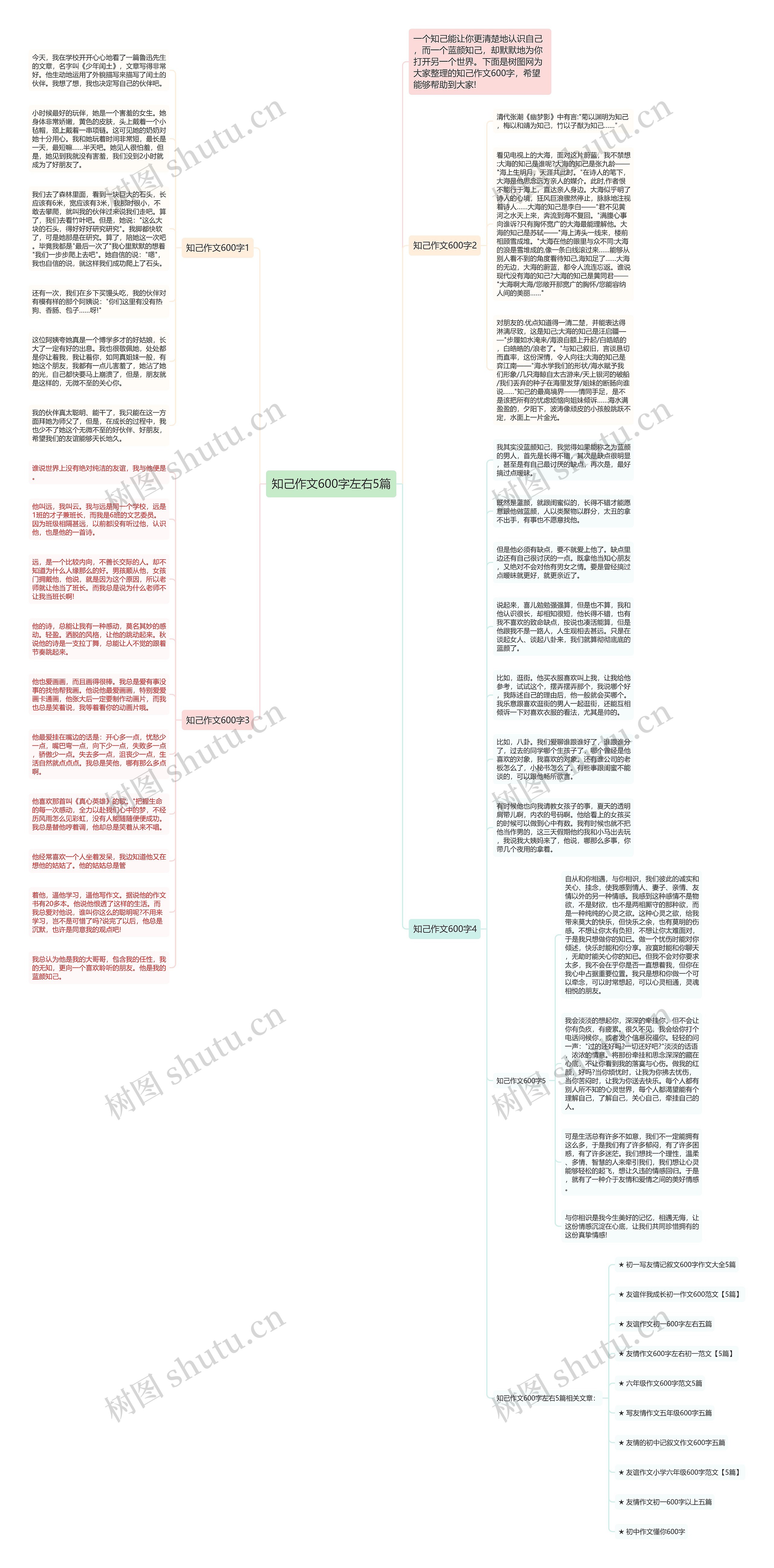 知己作文600字左右5篇思维导图