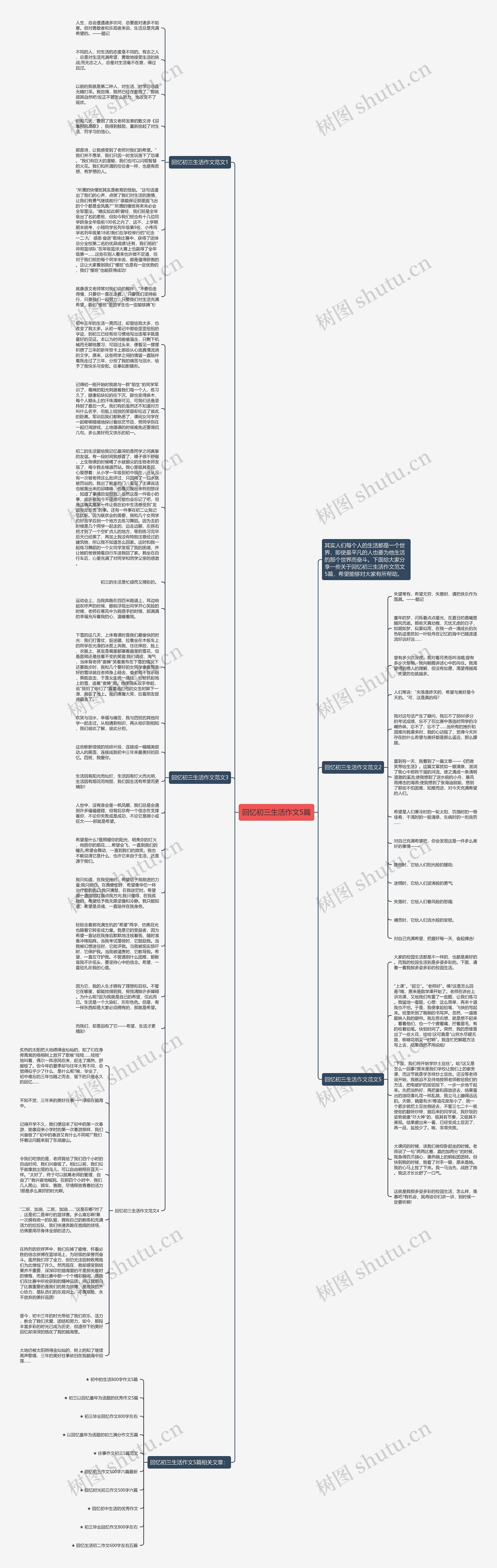 回忆初三生活作文5篇思维导图