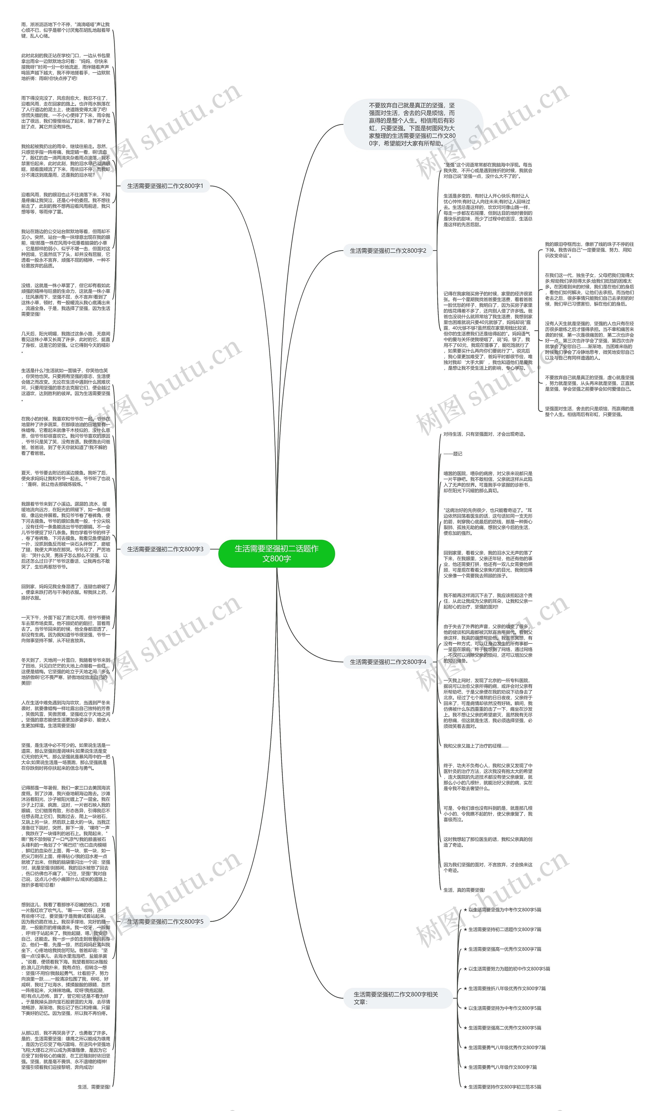 生活需要坚强初二话题作文800字思维导图