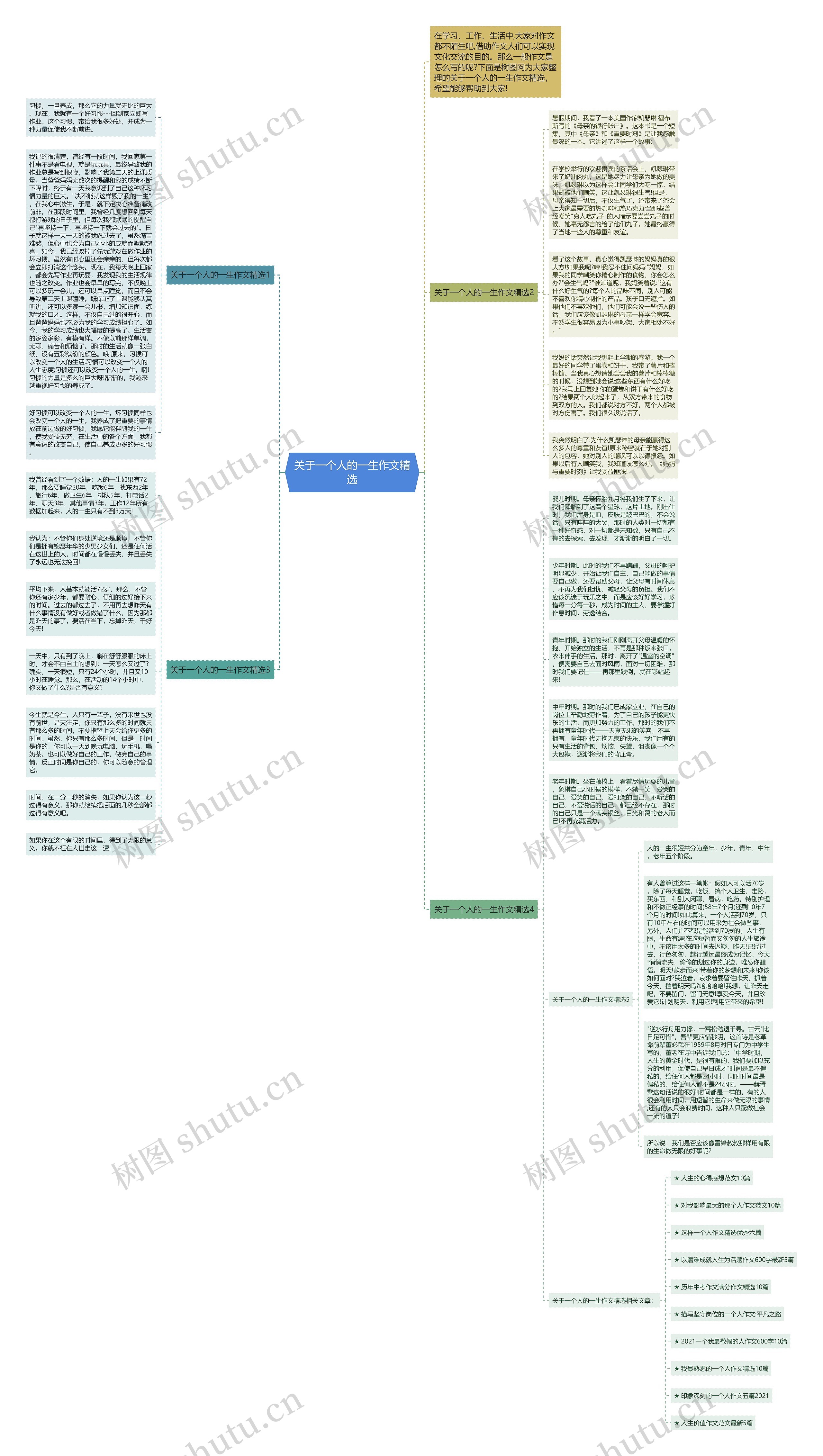 关于一个人的一生作文精选思维导图