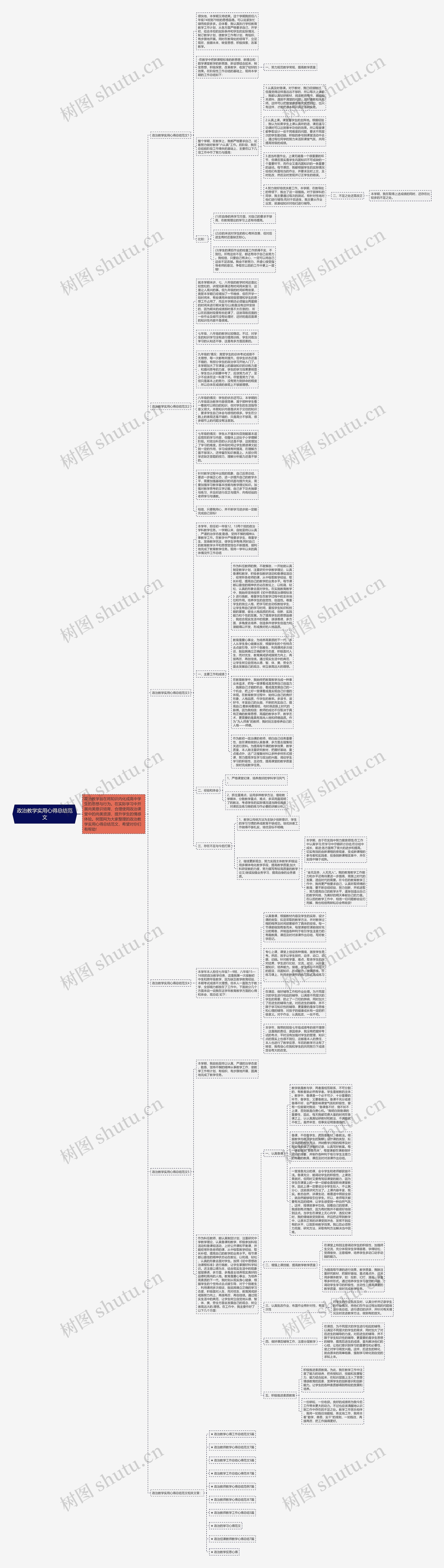 政治教学实用心得总结范文思维导图