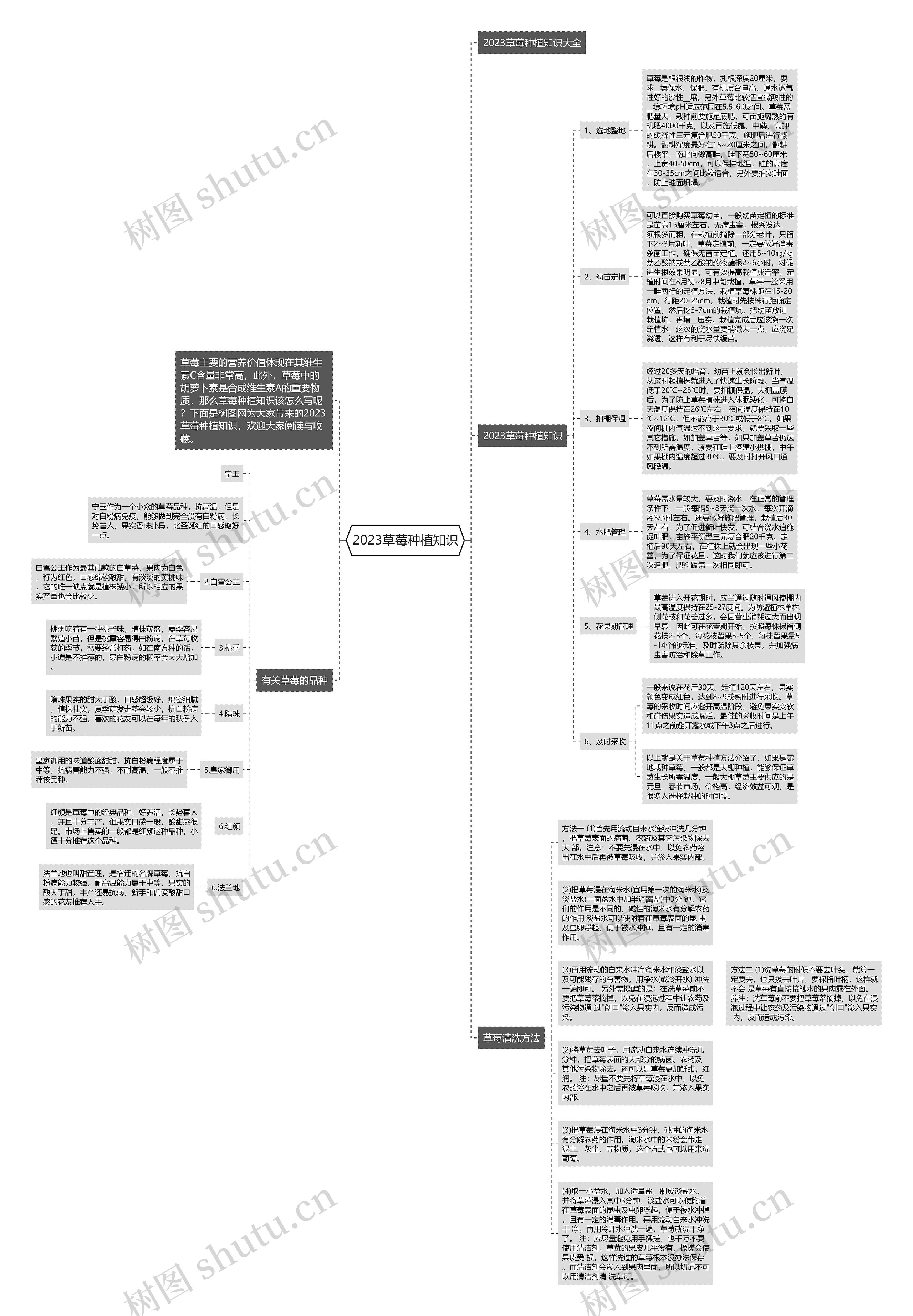 2023草莓种植知识思维导图