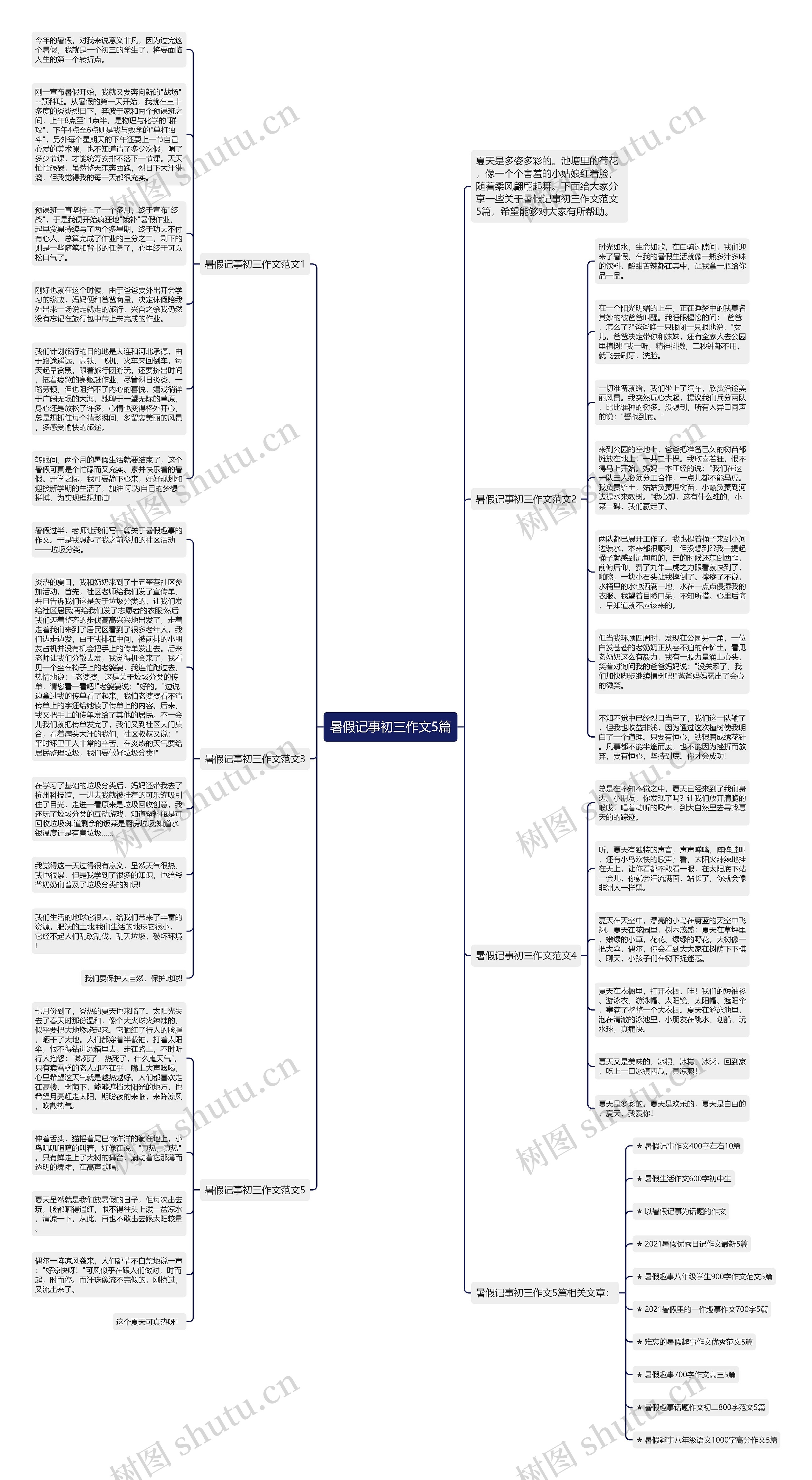 暑假记事初三作文5篇思维导图