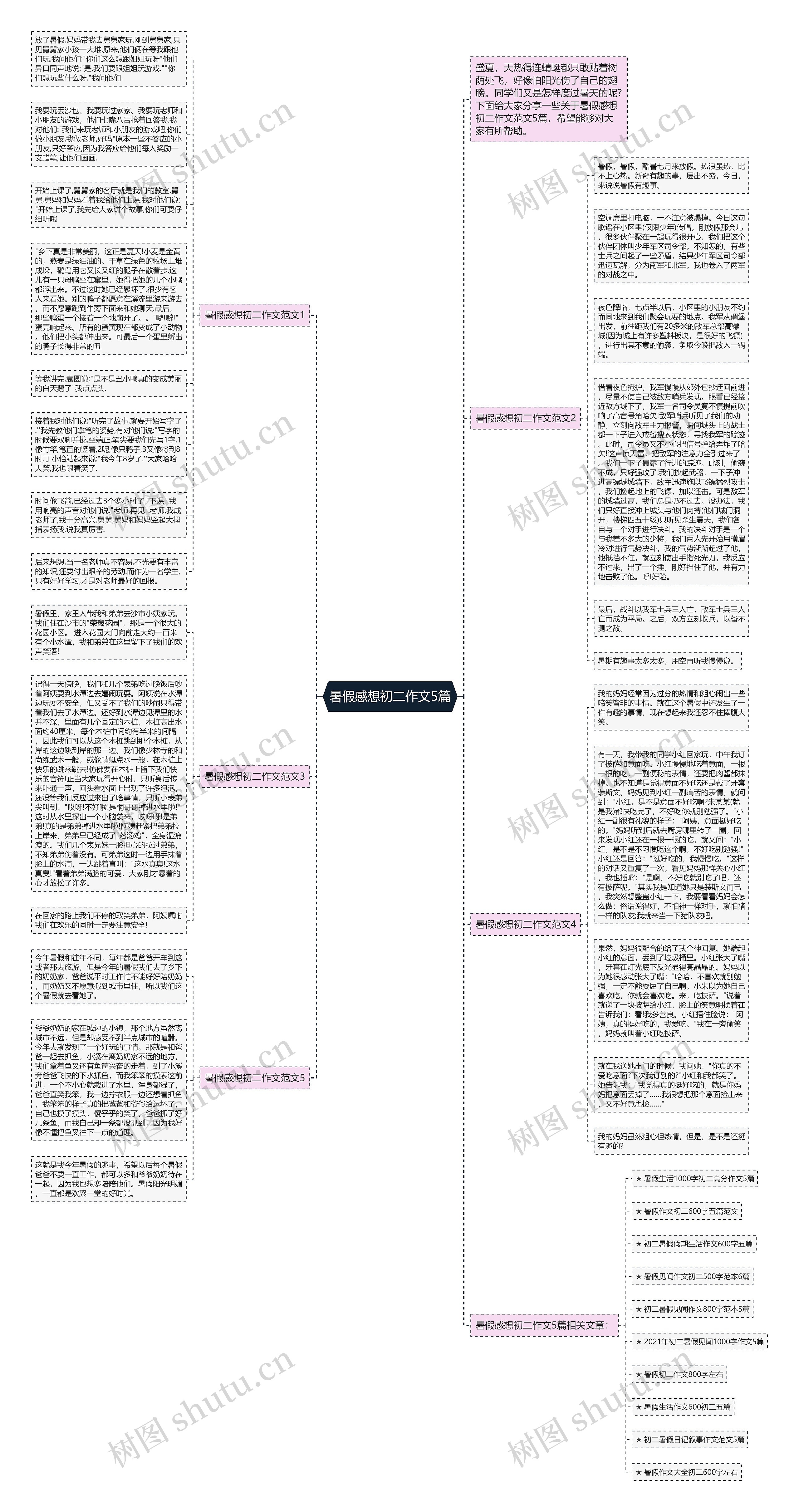 暑假感想初二作文5篇思维导图